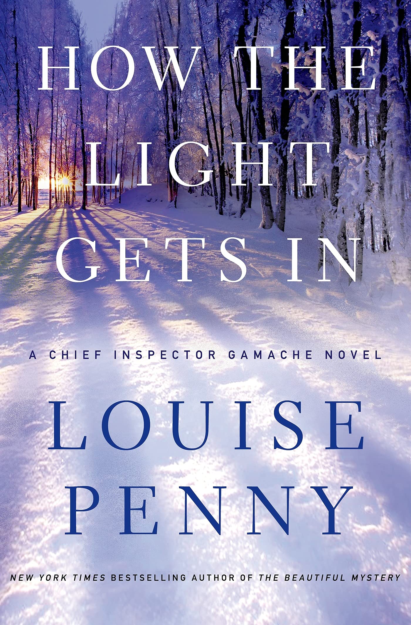 How the Light Gets In: A Chief Inspector Gamache Novel Detective & CSI