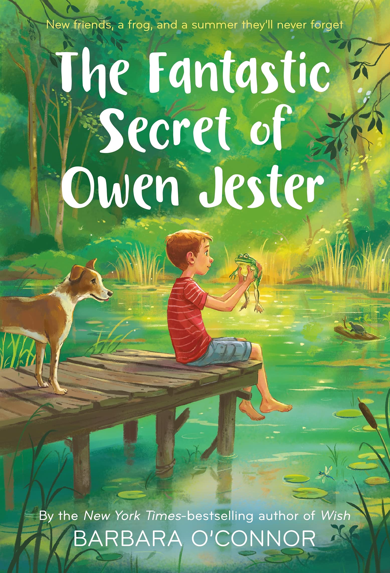 The Fantastic Secret of Owen Jester Non-fiction