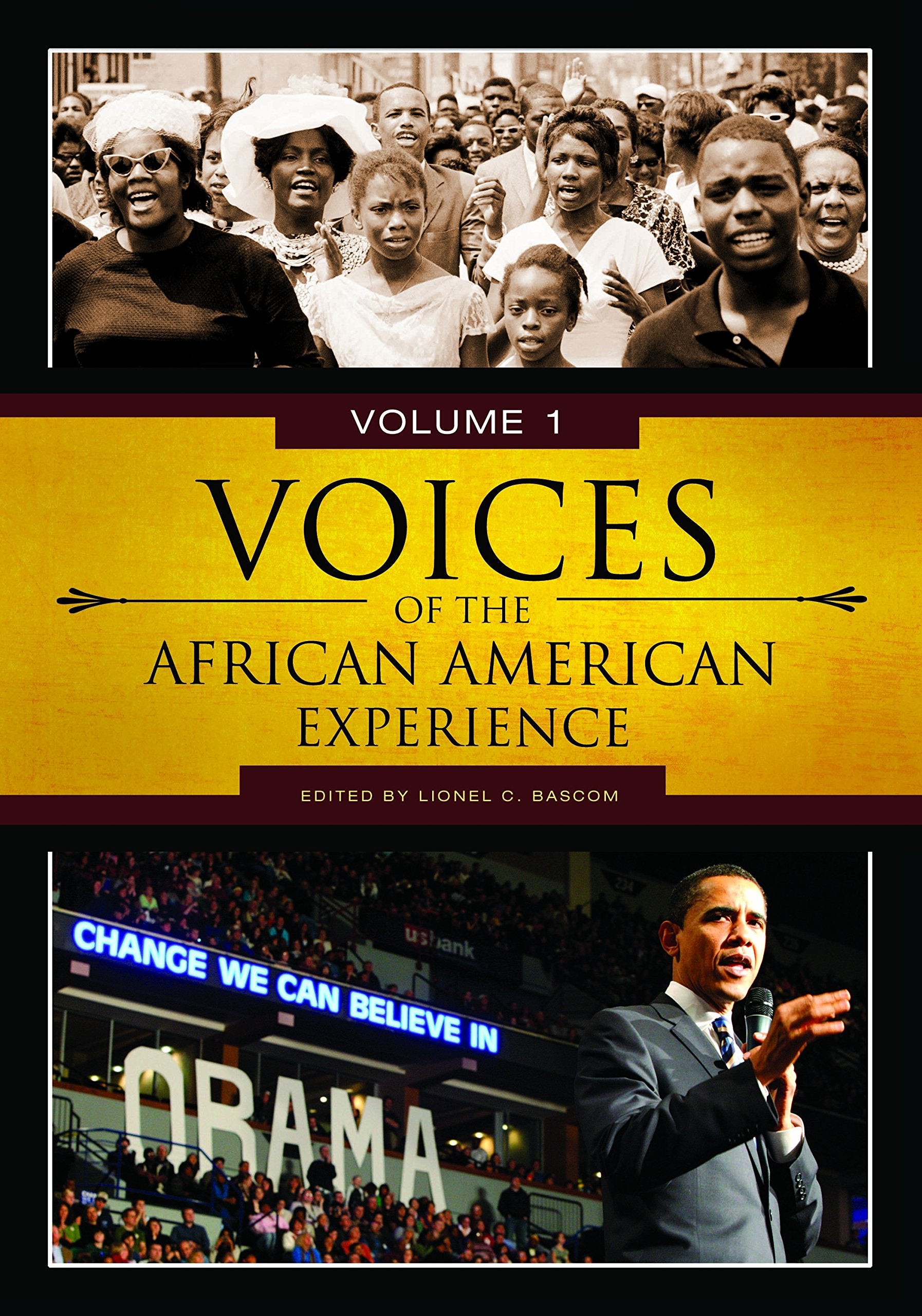 Voices of the African American Experience Books