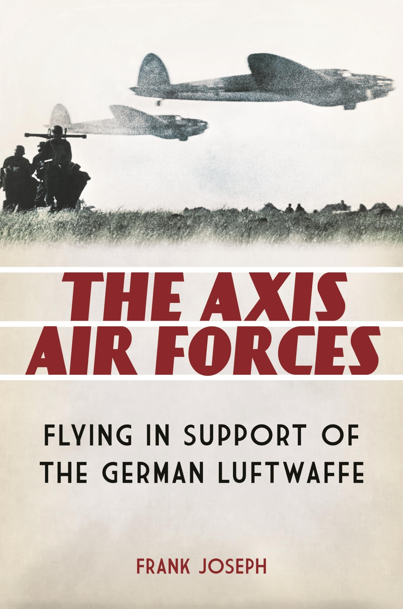 The Axis Air Forces: Flying in Support of the German Luftwaffe Social Sciences