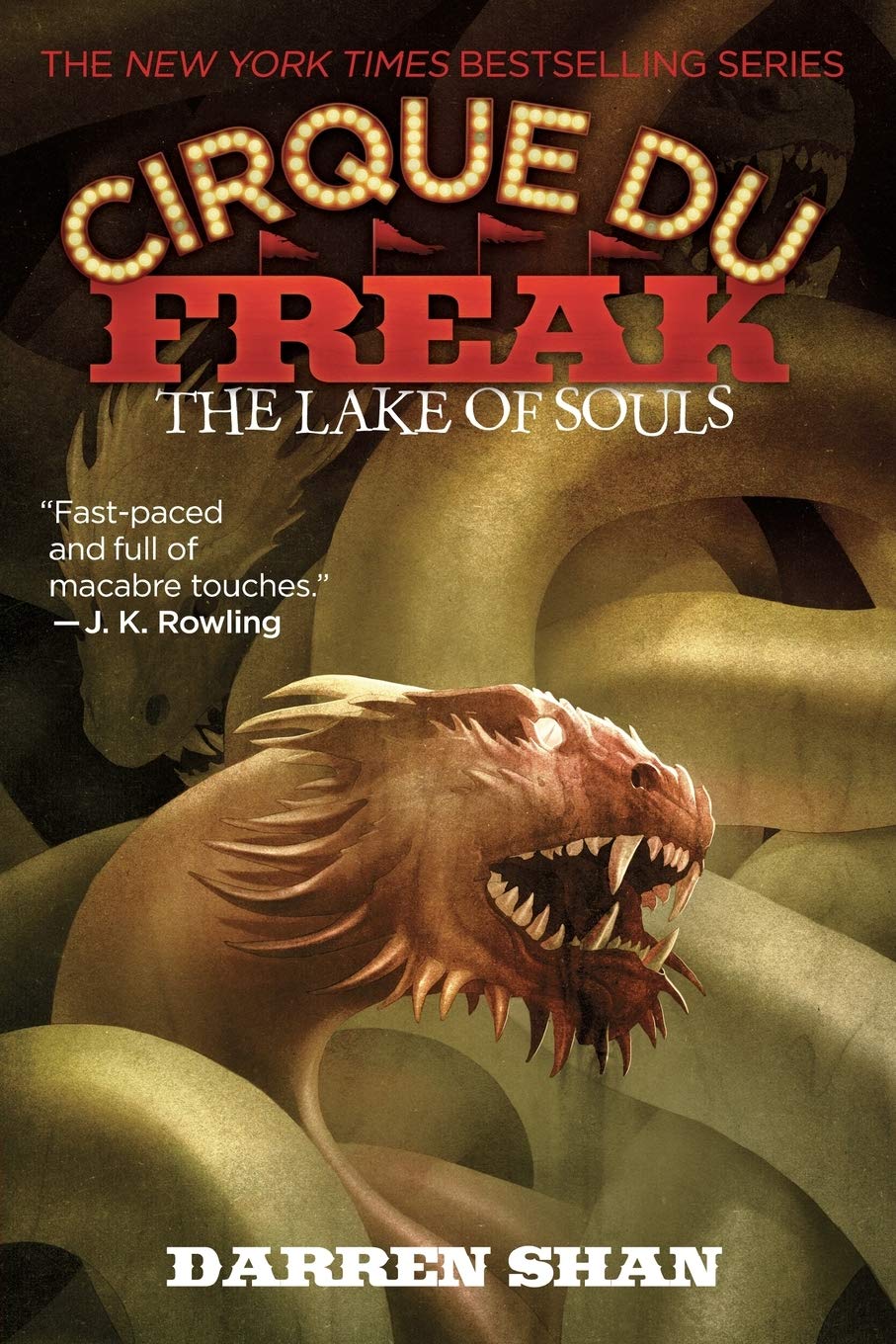 THE Cirque Du Freak: The Lake of Souls: Book 10 in the Saga of Darren Shan (Cirque Du Freak, 10, Band 10) Fiction