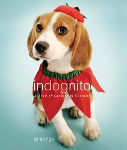 InDognito: A Book of Canines in Costume Travel