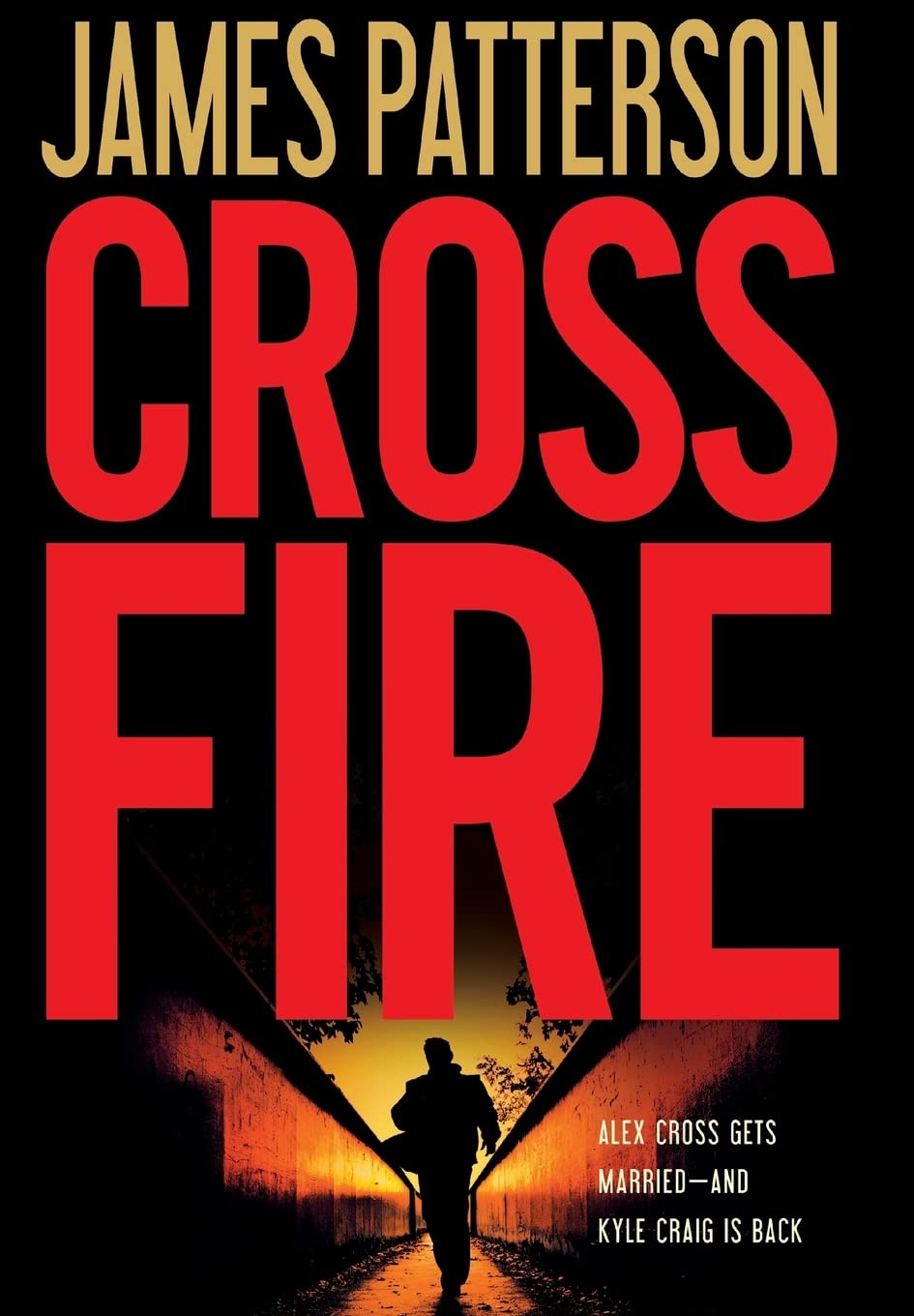 Cross Fire Contemporary literature Books