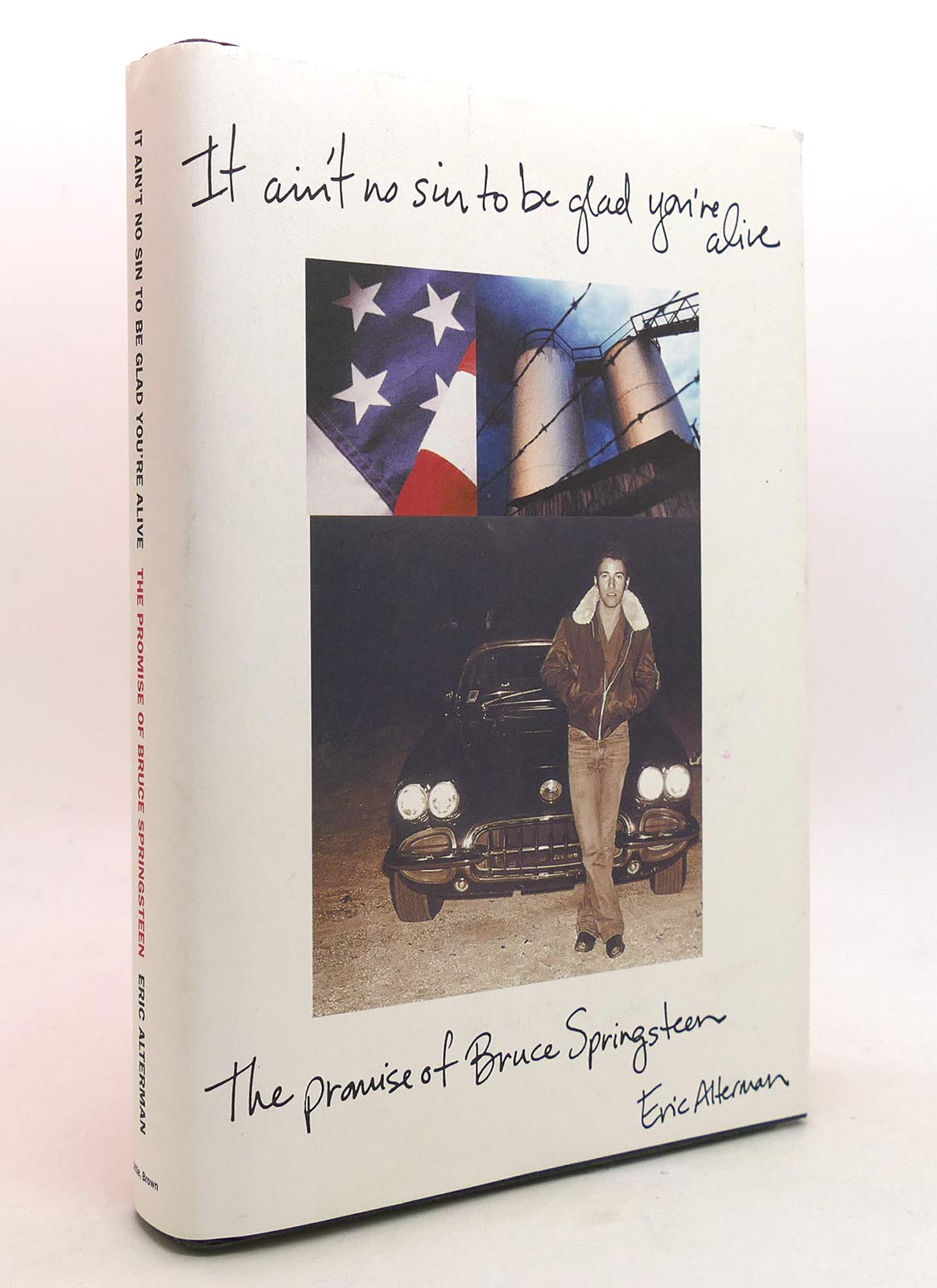 It Ain't No Sin to Be Glad You're Alive: The Promise of Bruce Springsteen Pop culture