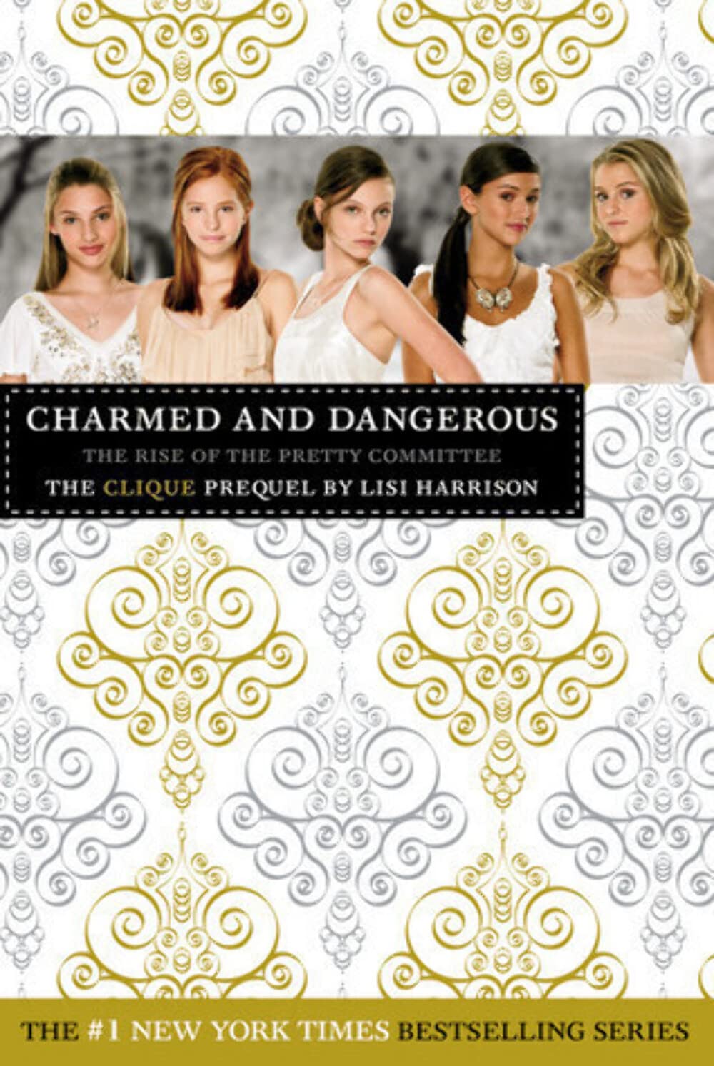 Charmed and Dangerous: The Clique Prequel Fiction