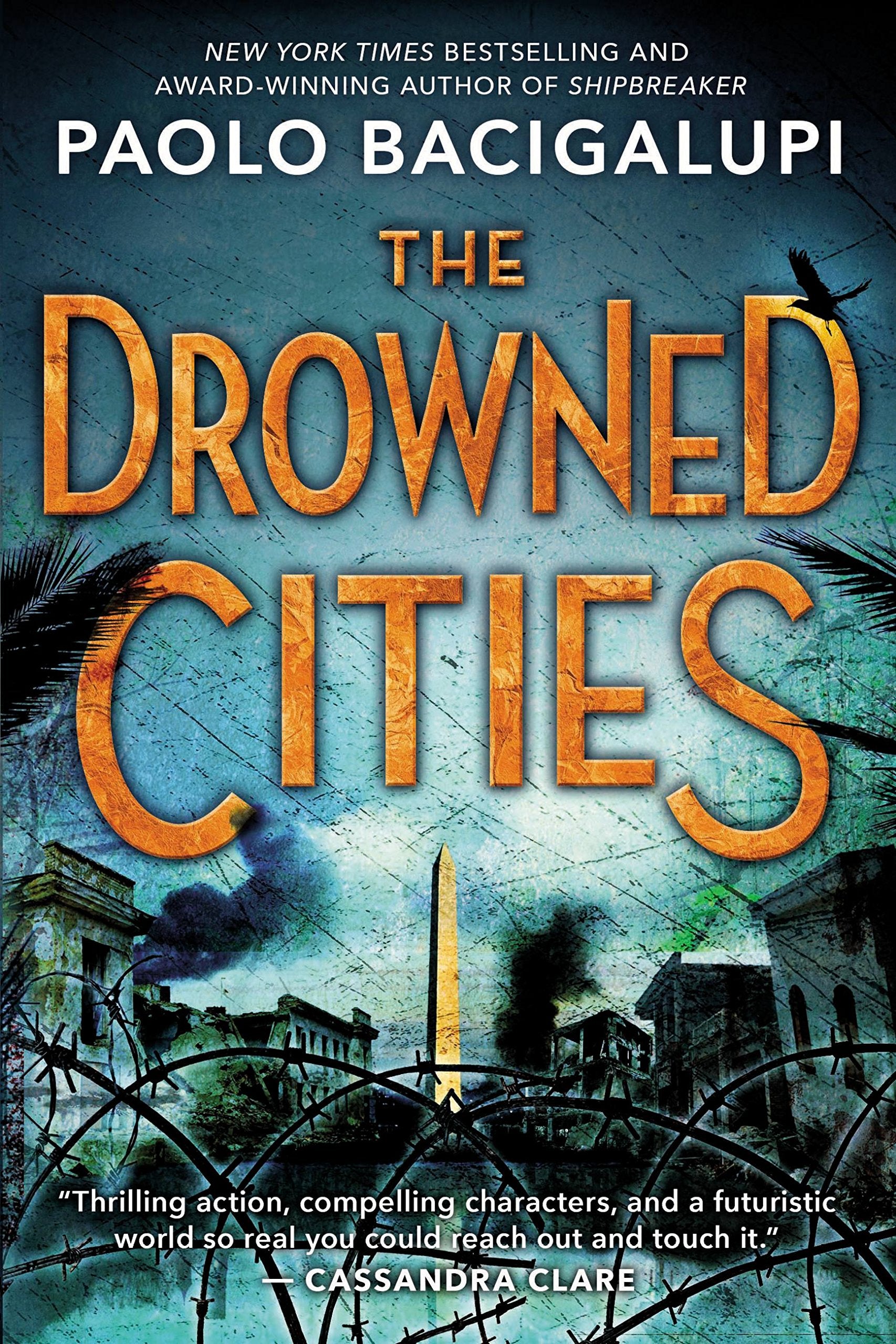 The Drowned Cities (Ship Breaker, Band 2) Fiction