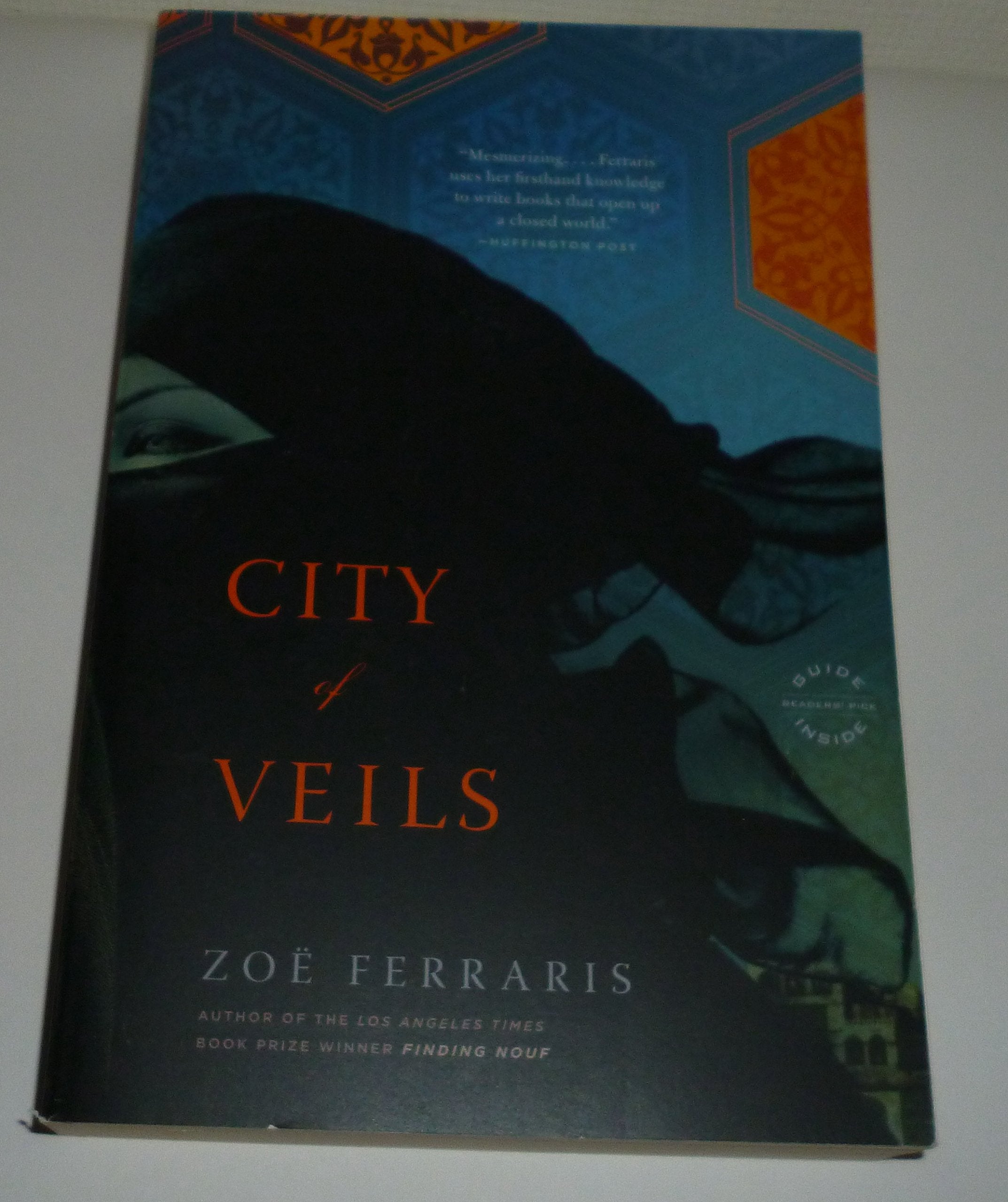 City of Veils: A Novel book