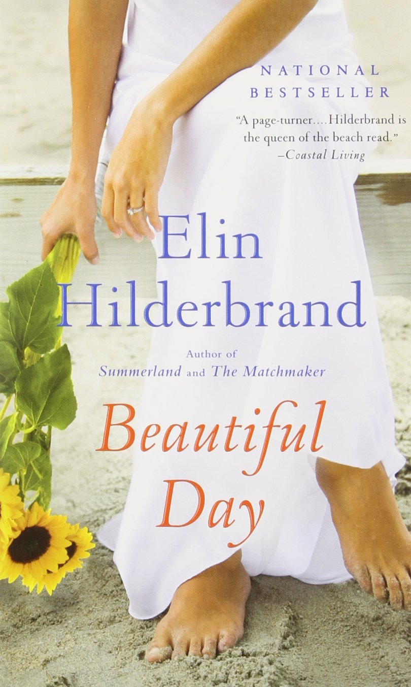 Beautiful Day: A Novel Contemporary literature