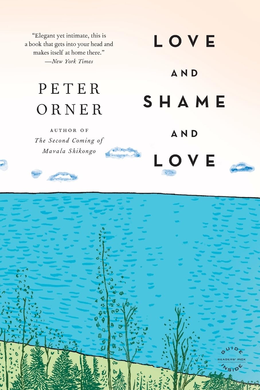 Love and Shame and Love: A Novel Contemporary literature