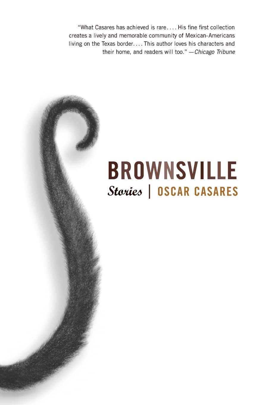 Brownsville: Stories Essays & Short Stories