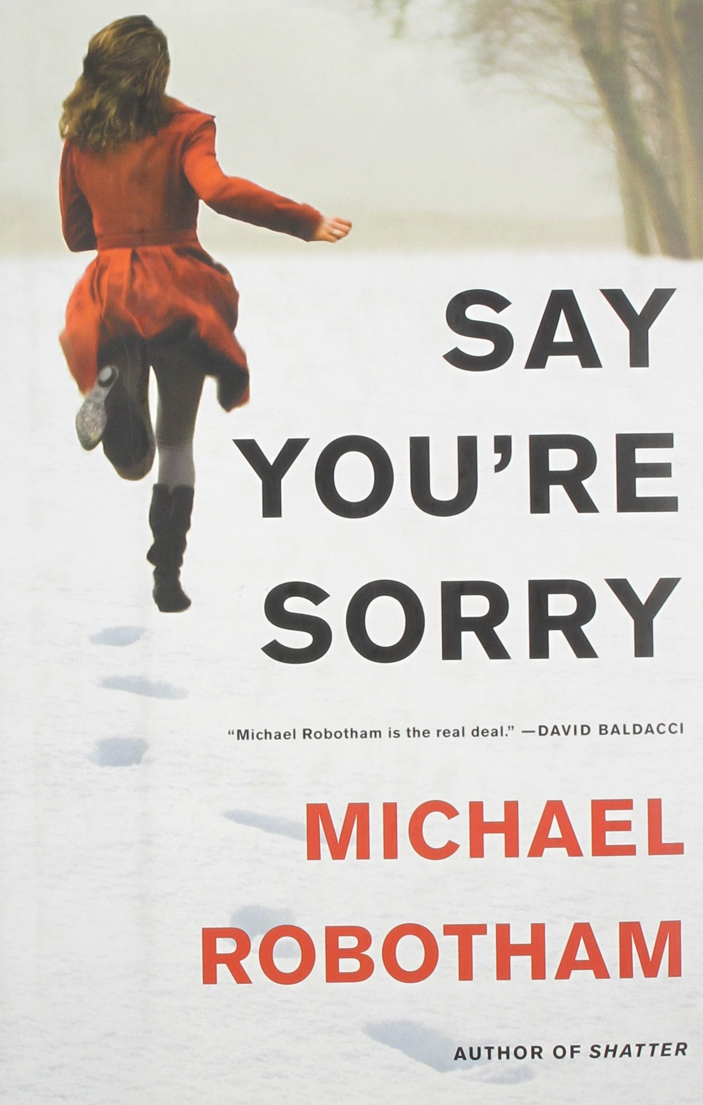 Say You're Sorry (Joseph O'Loughlin, 6) Action & Adventure