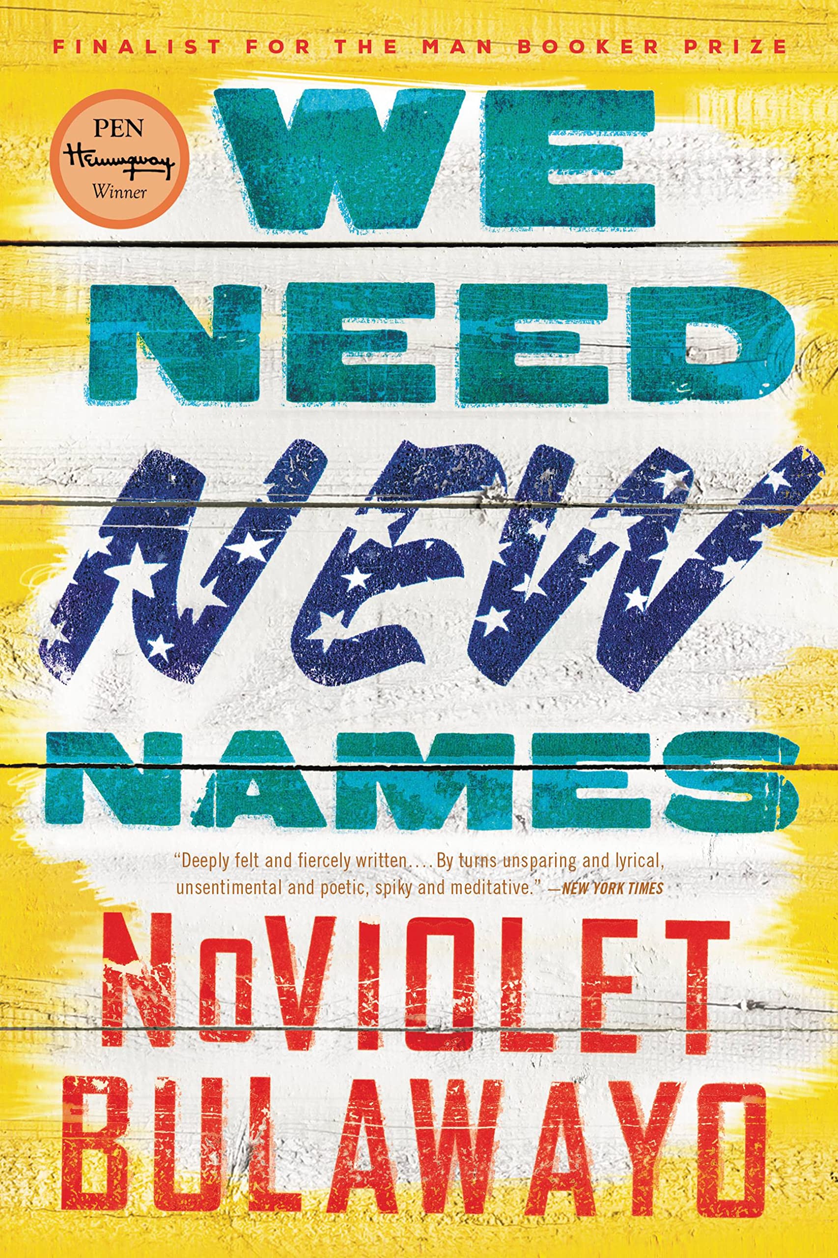 We Need New Names book