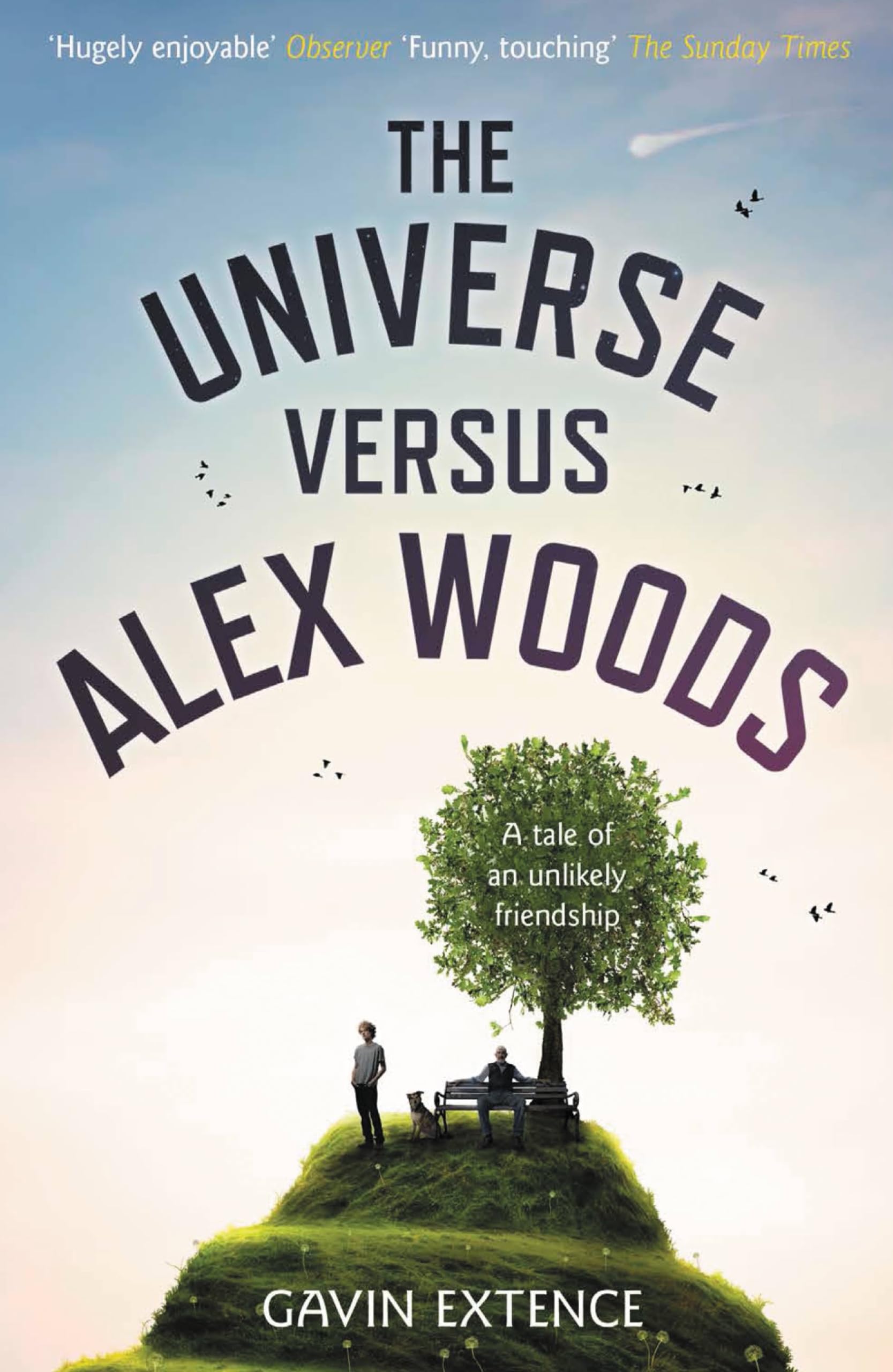 Product Image: The Universe Versus Alex Woods