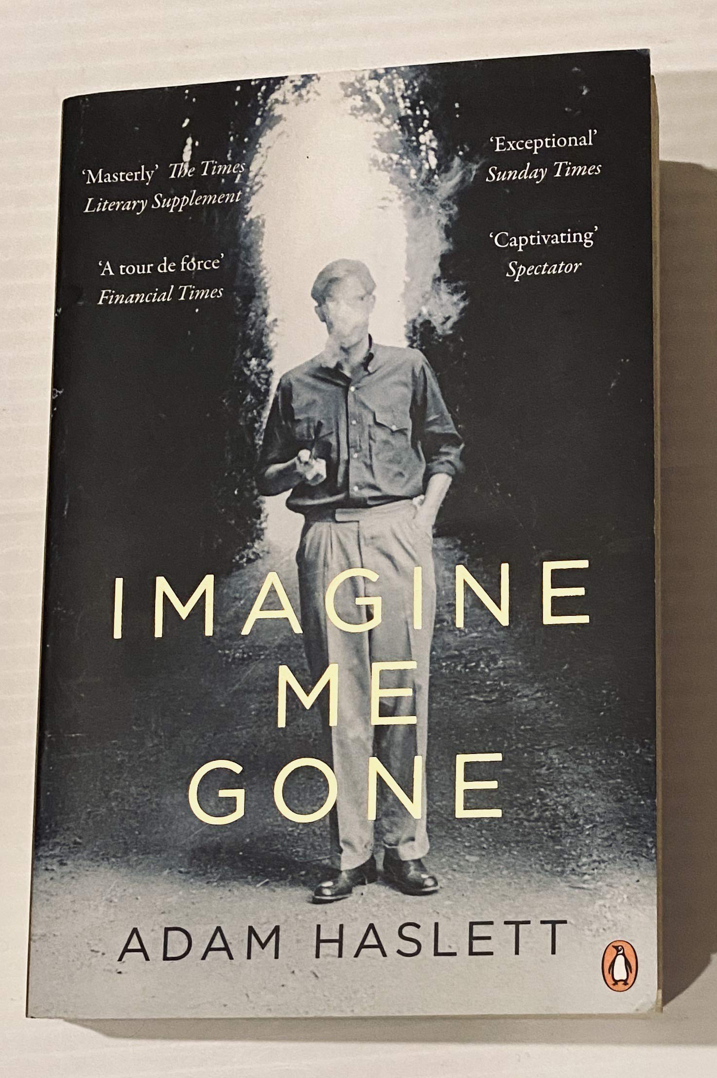 Haslett, A: IMAGINE ME GONE LGBTQ+ Books