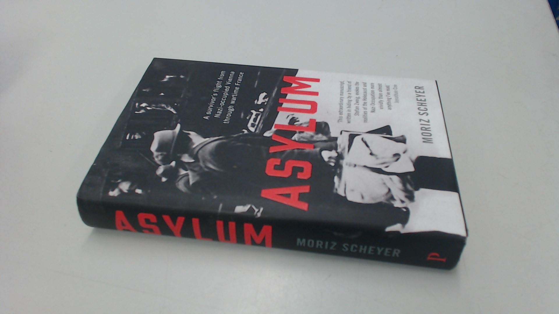 Asylum: A Survivor's Flight from Nazi-Occupied Vienna Through Wartime France Art & Literature