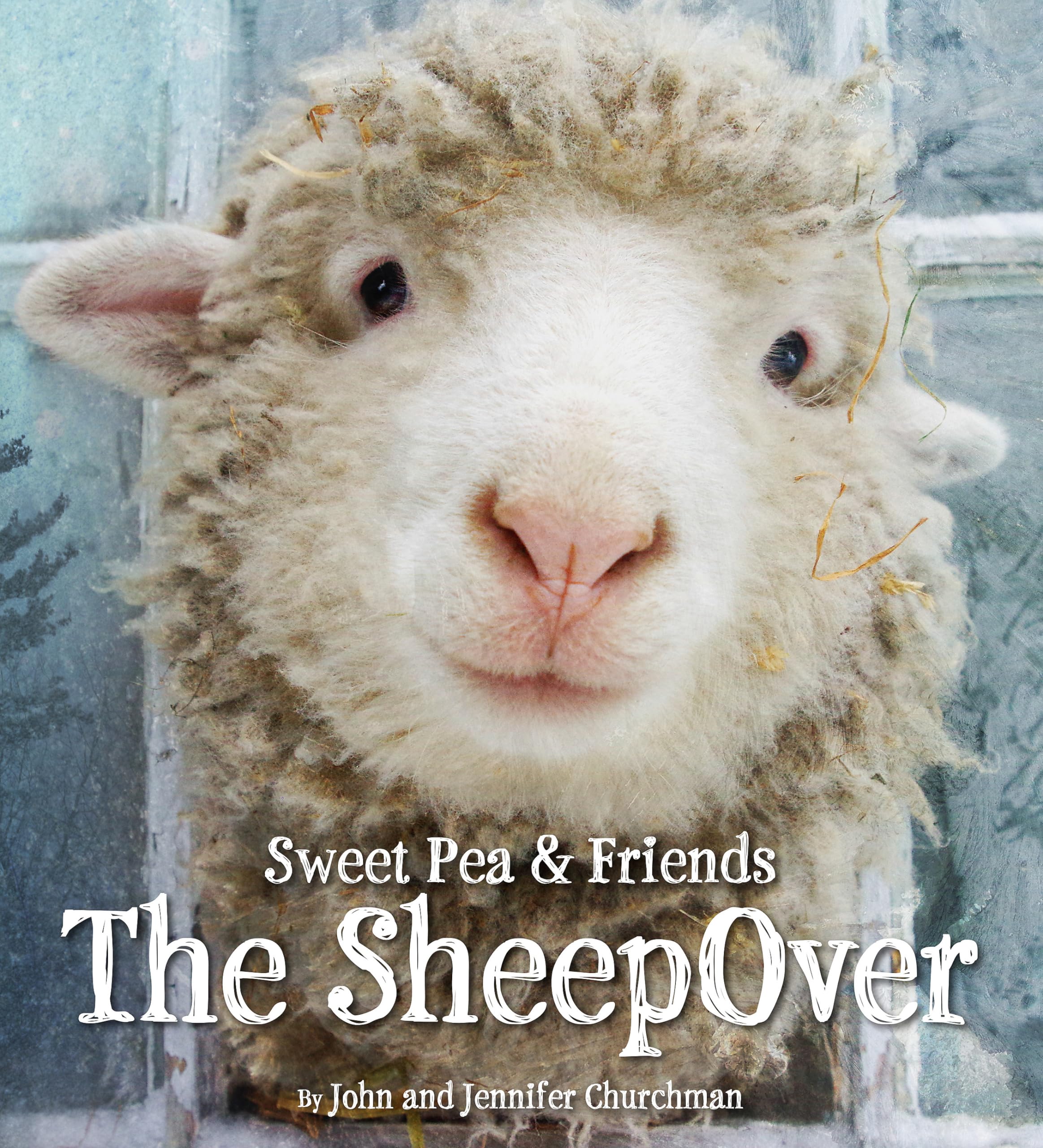 Churchman, J: SHEEPOVER Business & Technology
