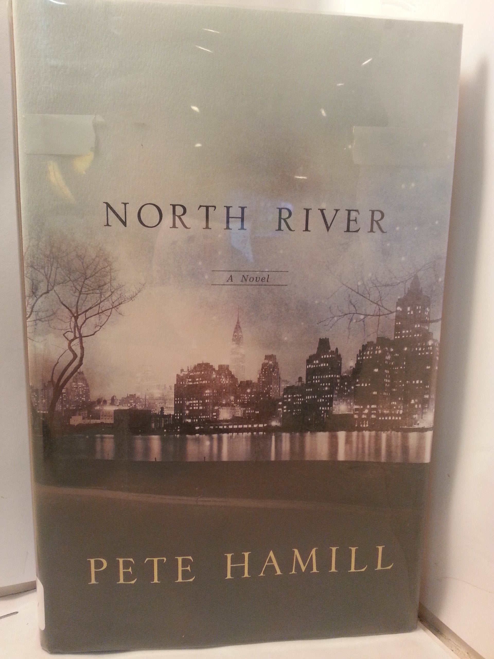 North River: A Novel Historical Fiction