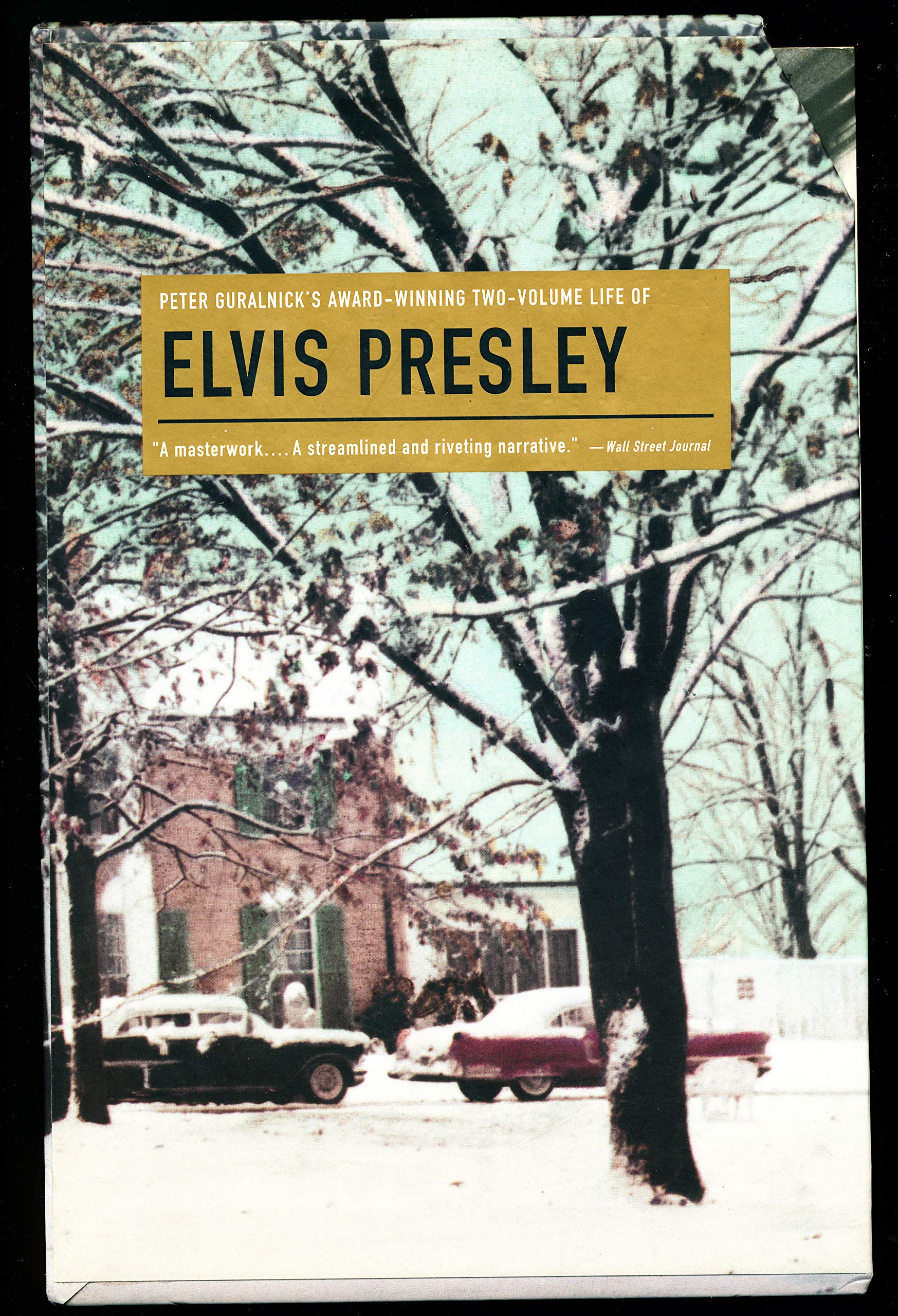 Last Train to Memphis - The Rise of Elvis Presley and Careless Love - The Unmaking of Elvis Presley Pop culture