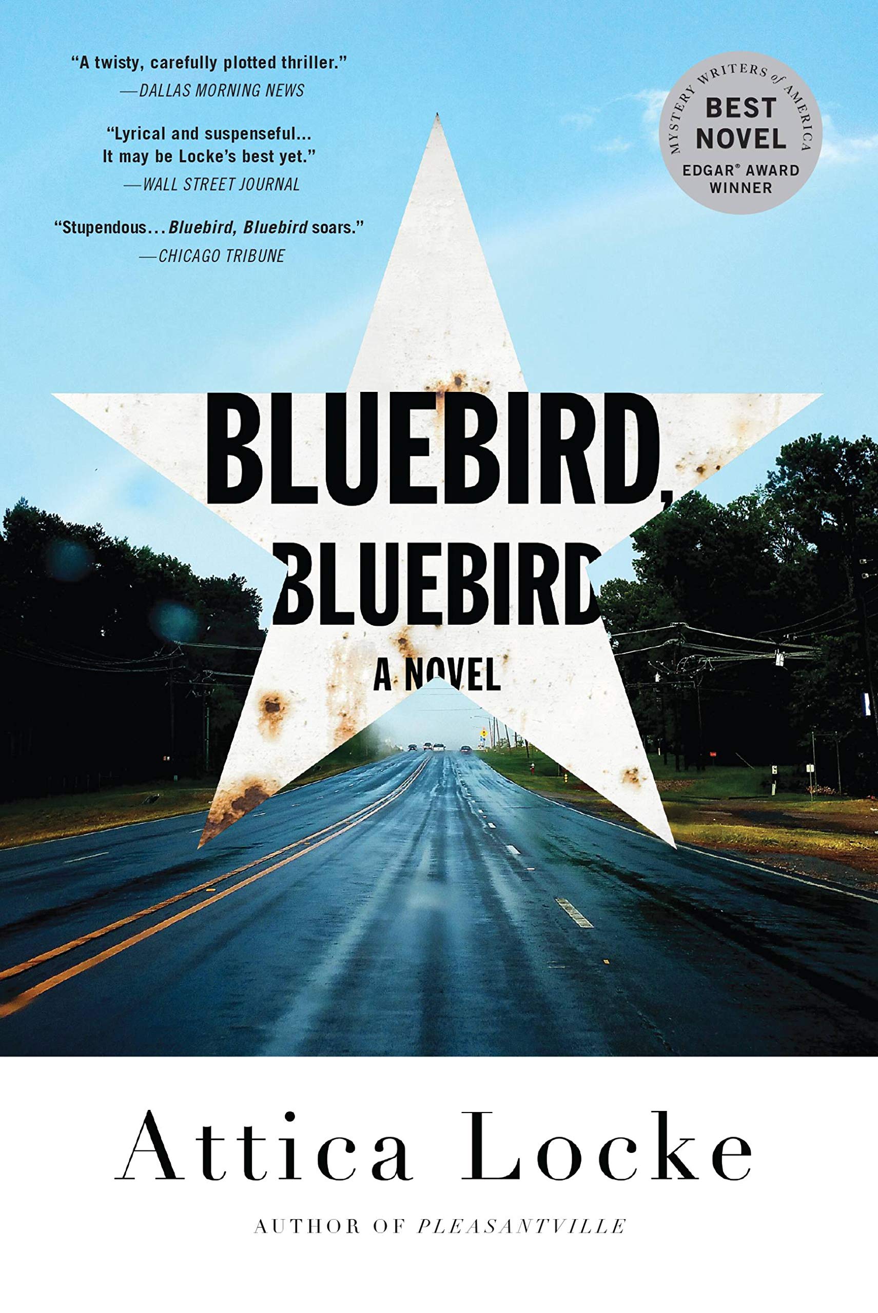 Bluebird, Bluebird (A Highway 59 Novel, 1, Band 1) Contemporary literature