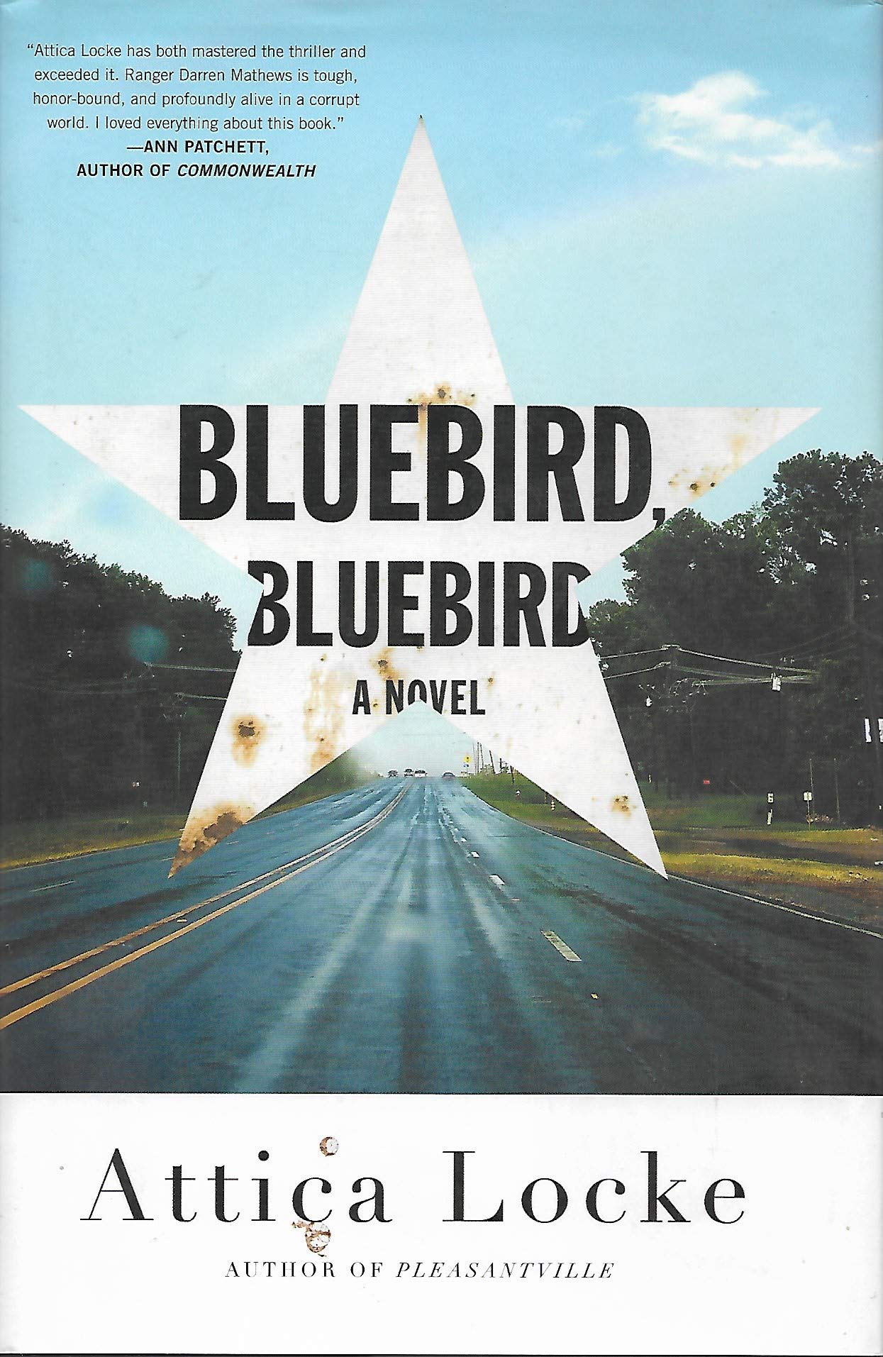 Bluebird, Bluebird (A Highway 59 Novel, 1) Poetry