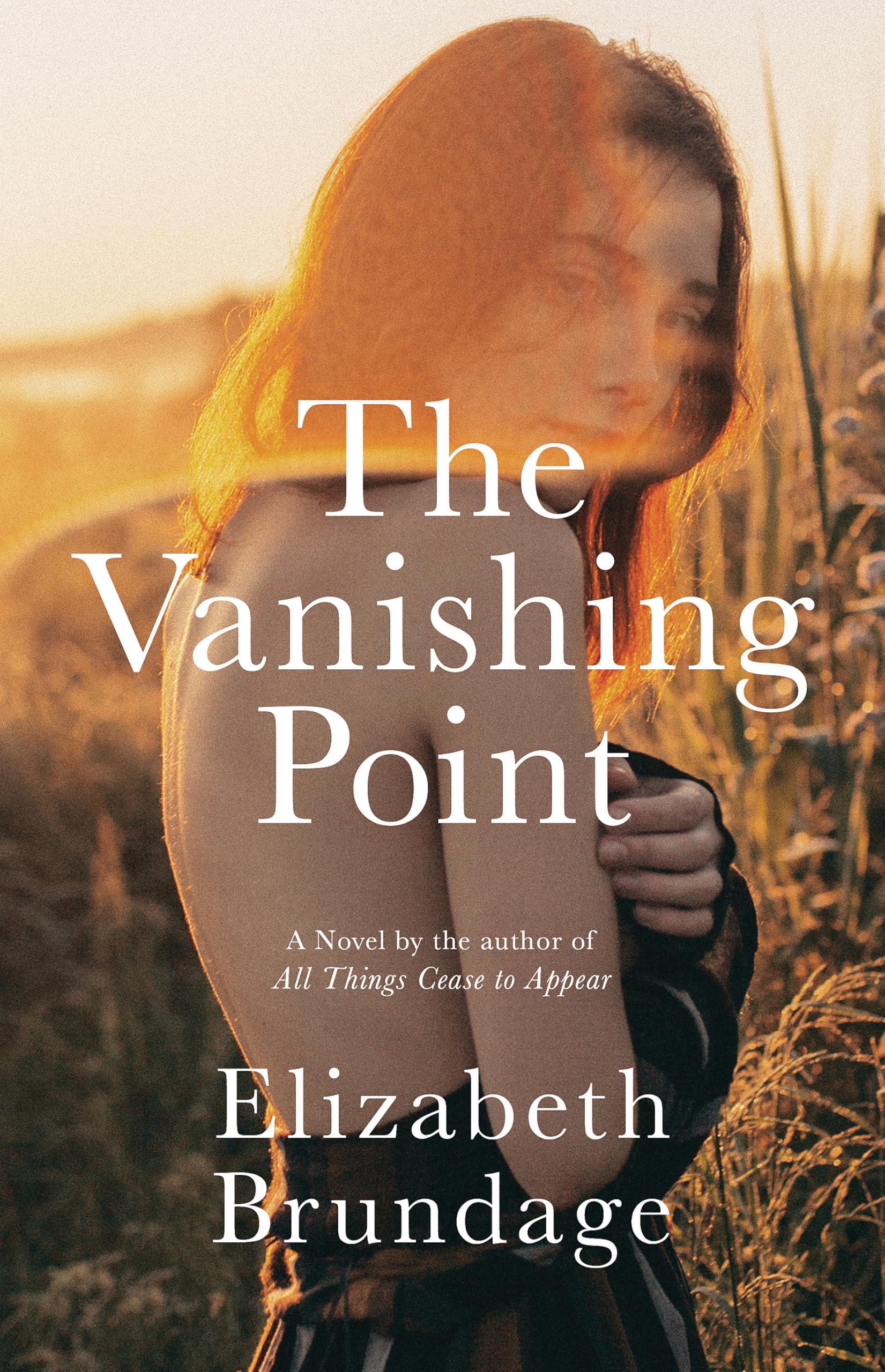 The Vanishing Point Contemporary literature Books