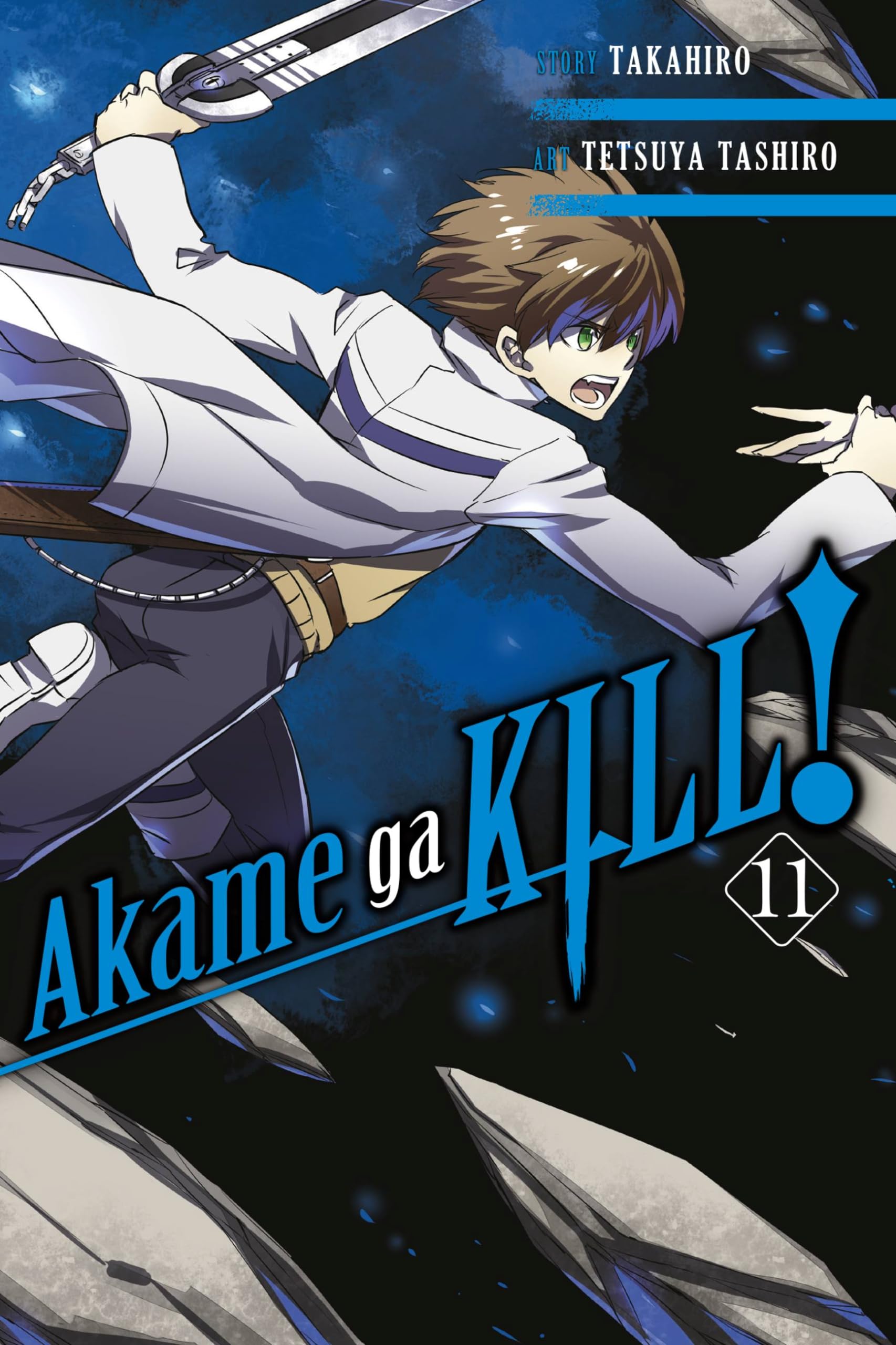 Akame ga KILL!, Vol. 11 (AKAME GA KILL GN, Band 11) Manga