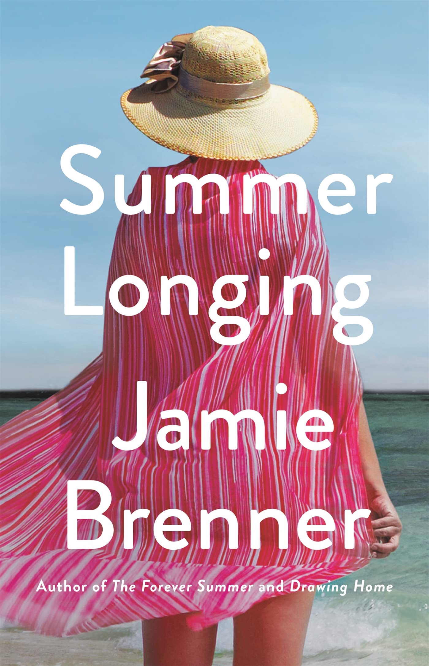 Summer Longing Contemporary literature Books
