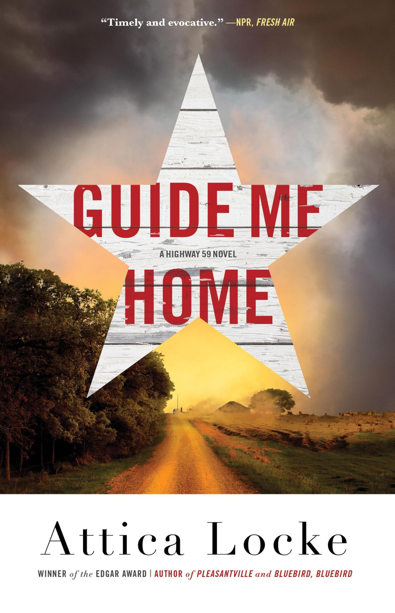 Guide Me Home (A Highway 59 Novel) Detective & CSI