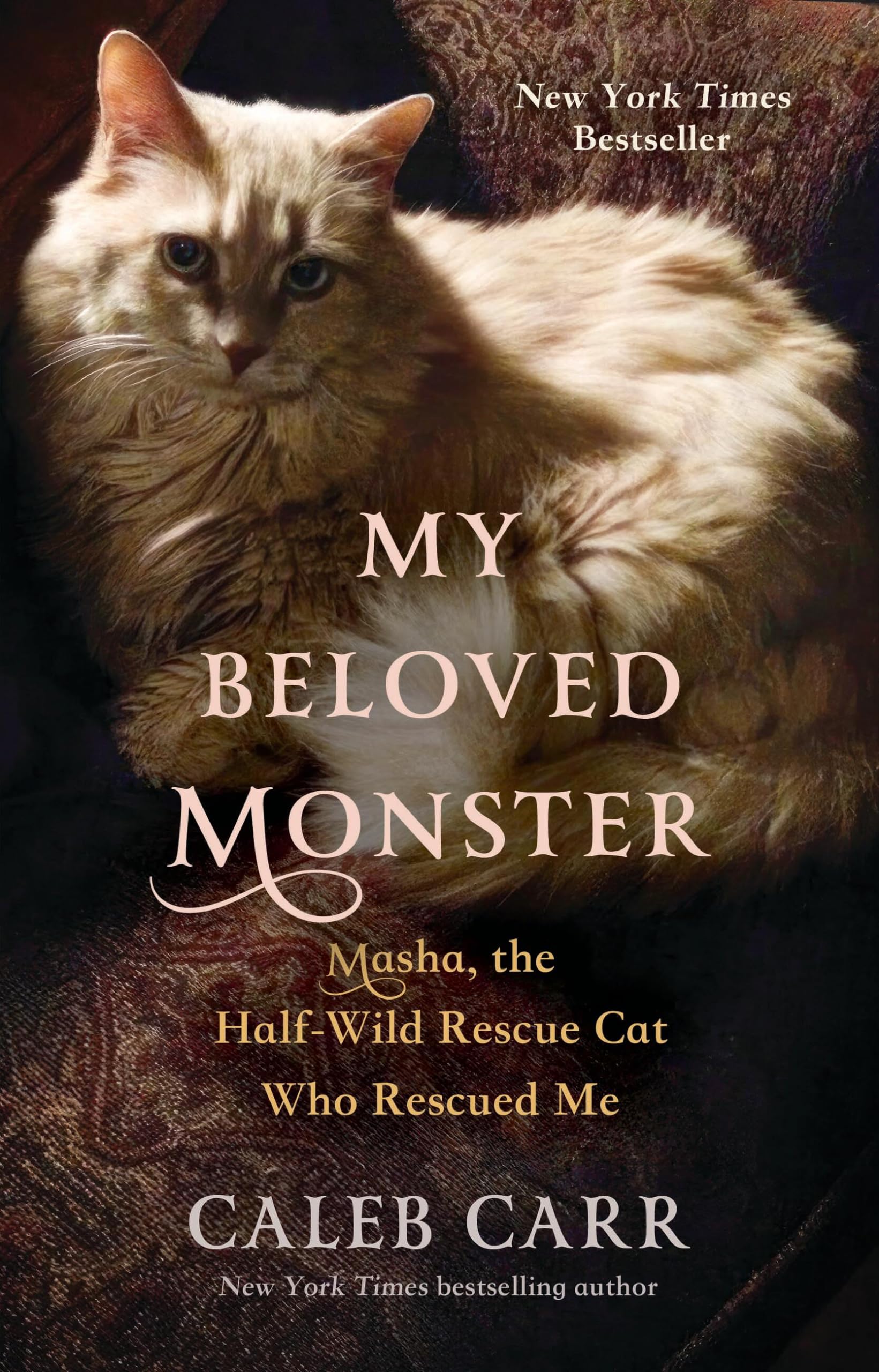 My Beloved Monster: Masha, the Half-wild Rescue Cat Who Rescued Me Memories