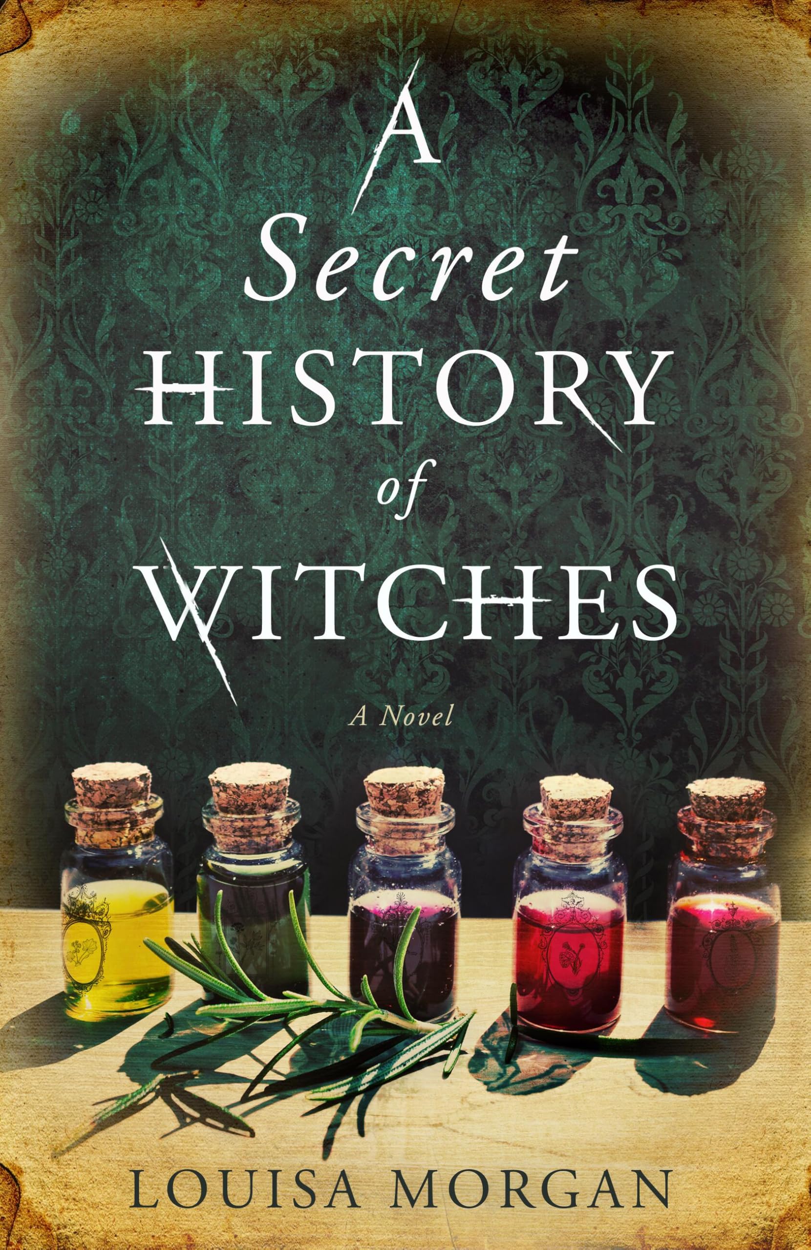 A Secret History of Witches: A Novel Historical Fiction