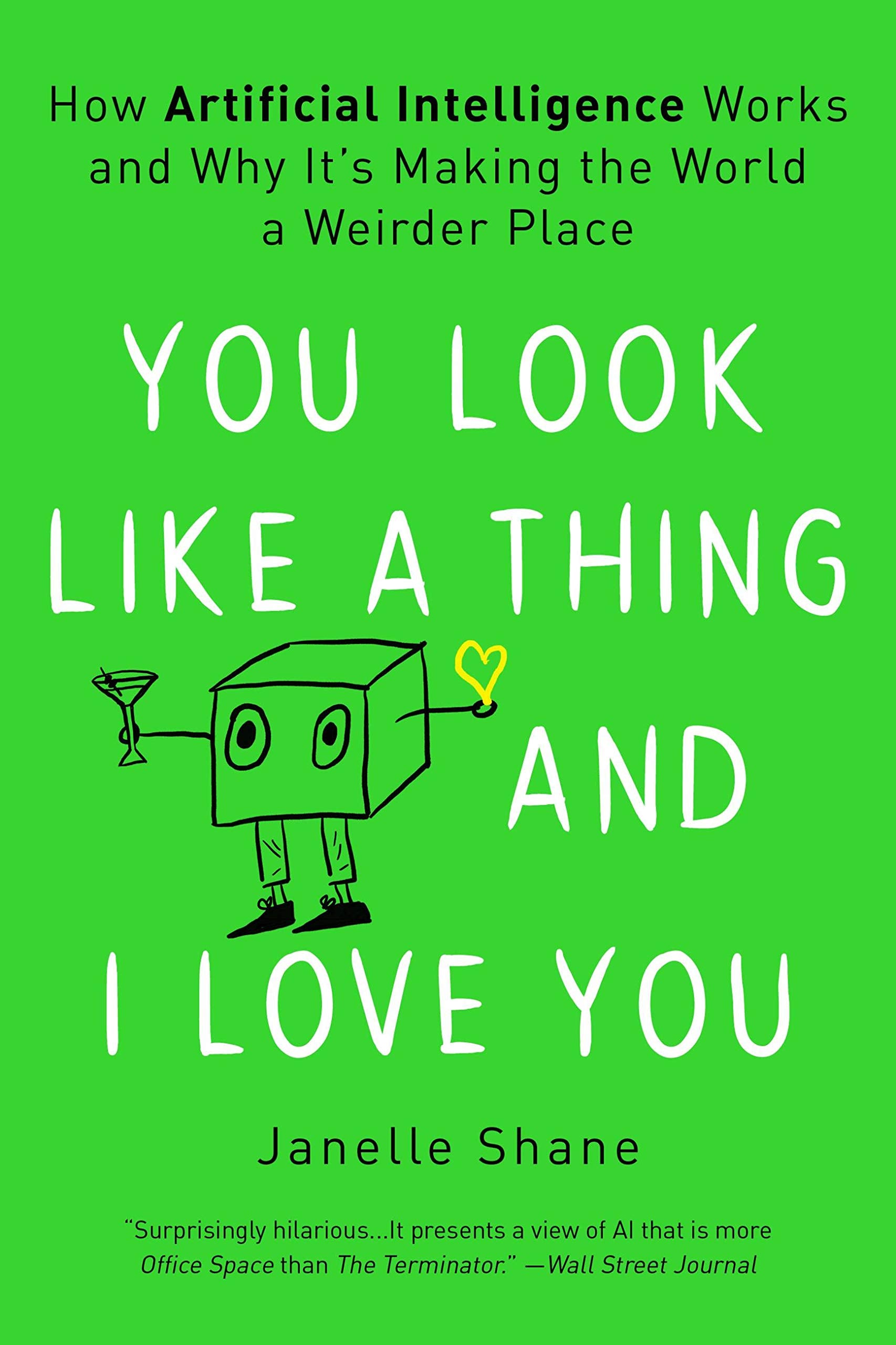 You Look Like a Thing and I Love You Computer Science