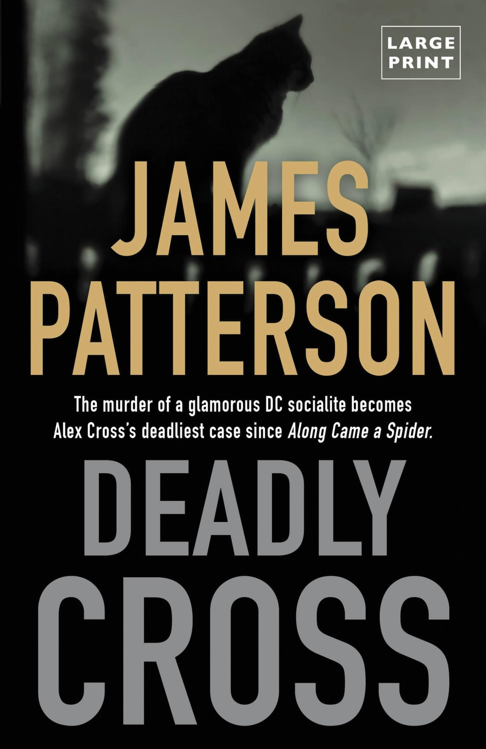 Deadly Cross (Alex Cross, 26, Band 28) Detective & CSI