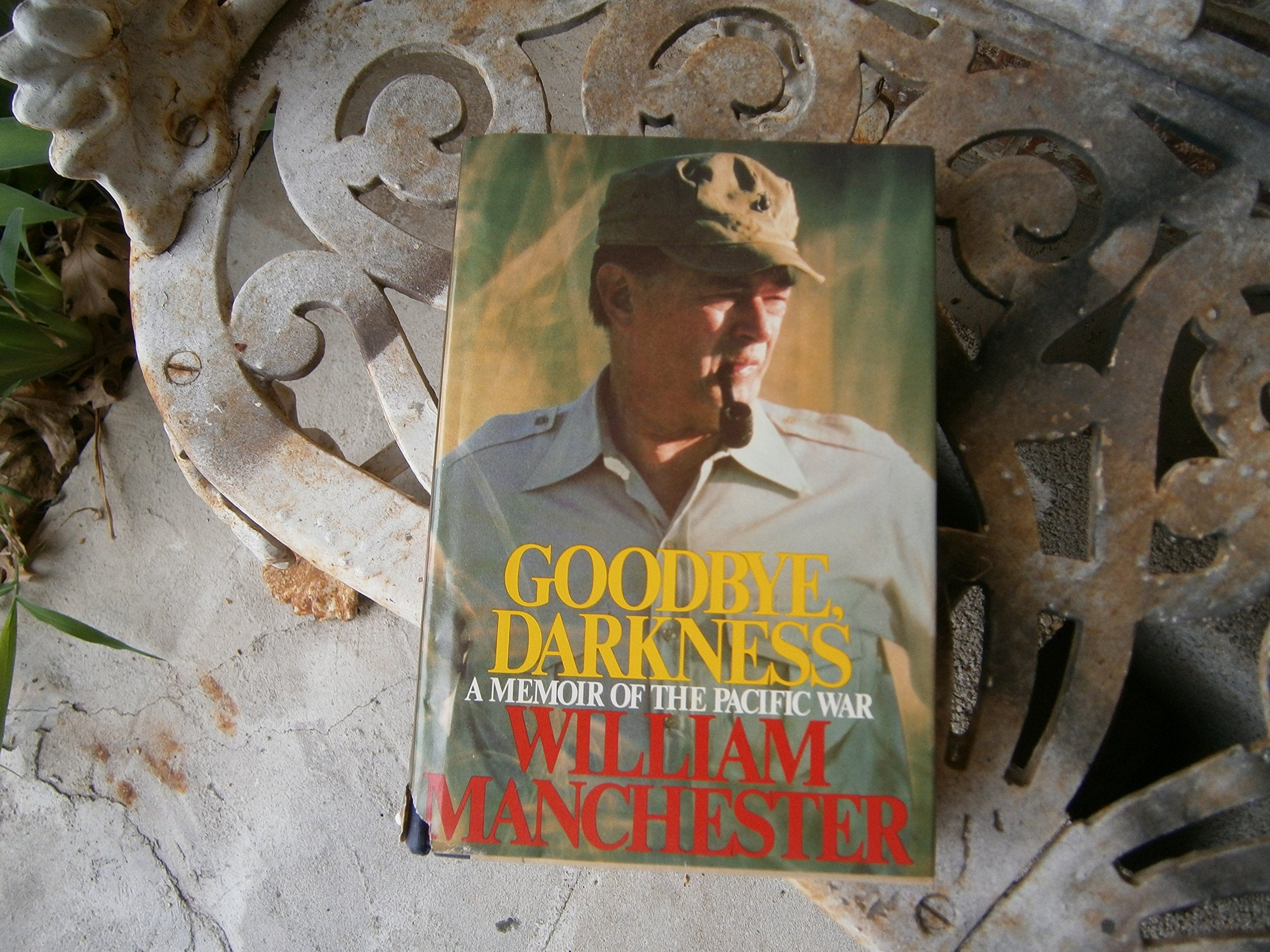 Goodbye, Darkness: A Memoir of the Pacific War Books