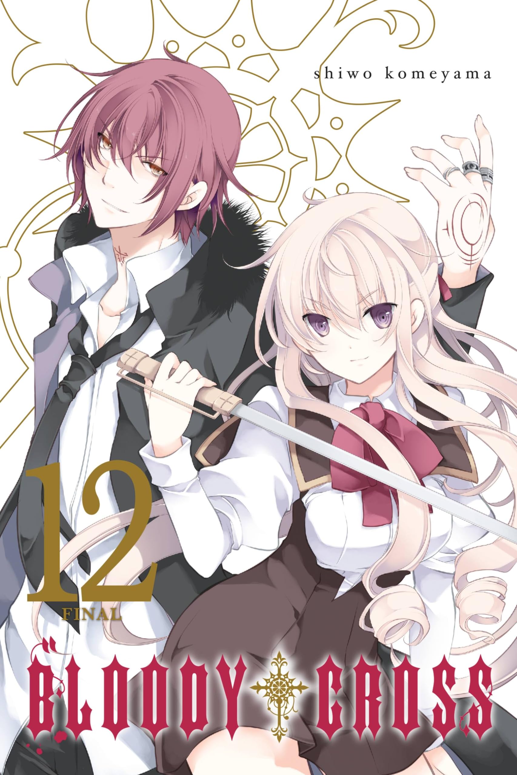 Bloody Cross, Vol. 12 (BLOODY CROSS GN, Band 12) Contemporary literature