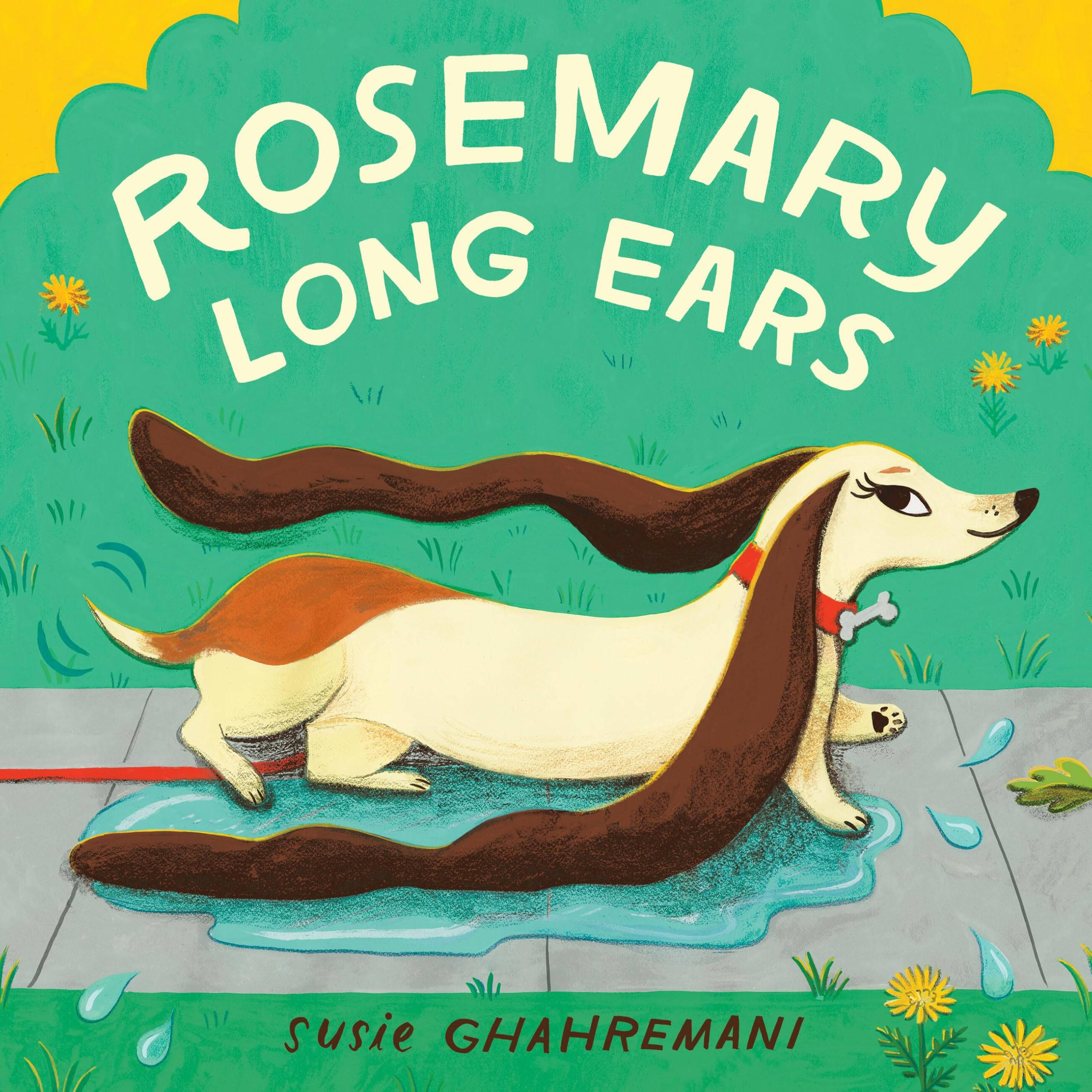 Rosemary Long Ears Leisure & Fun