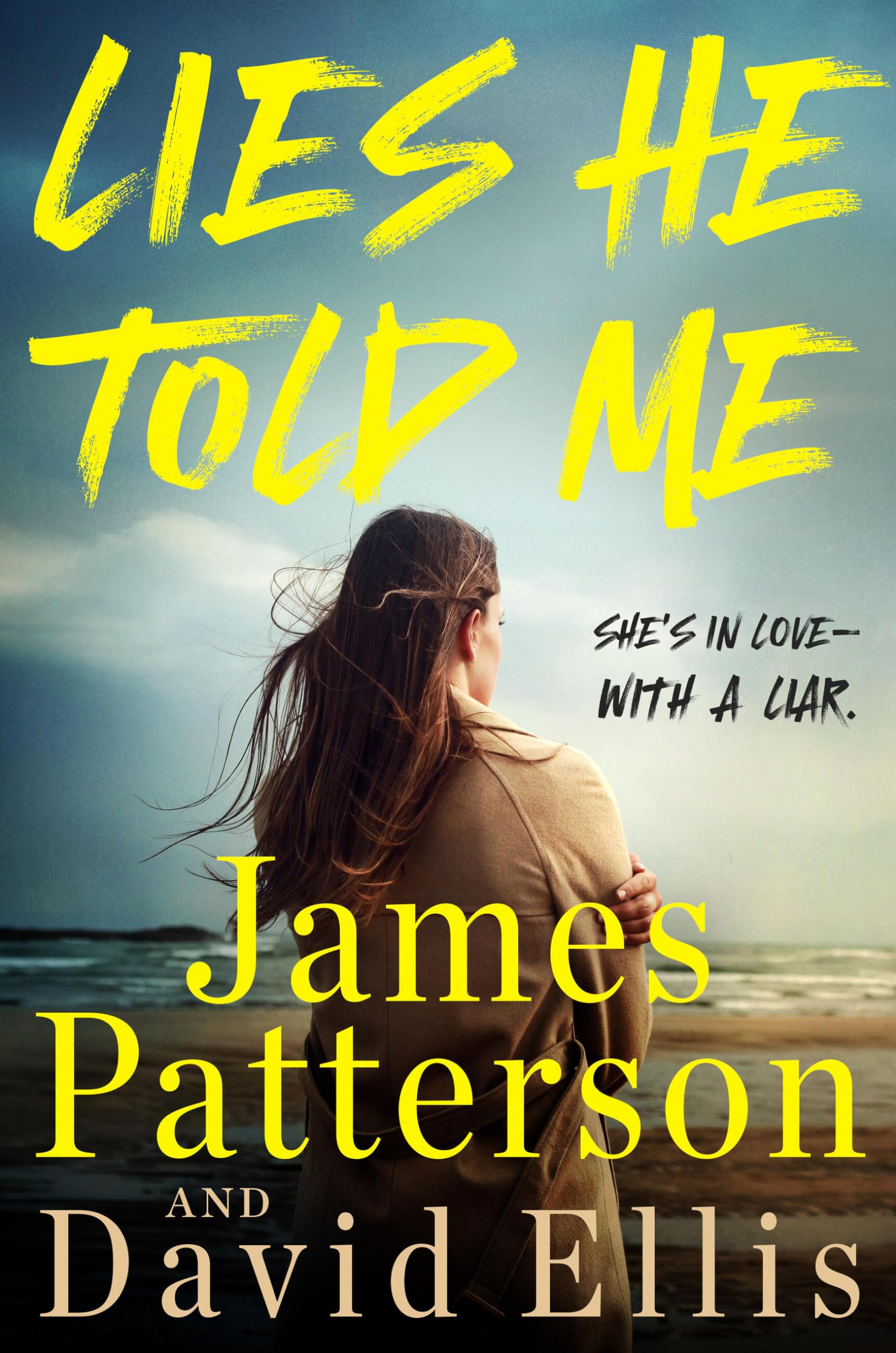 Lies He Told Me: A Thriller Contemporary literature