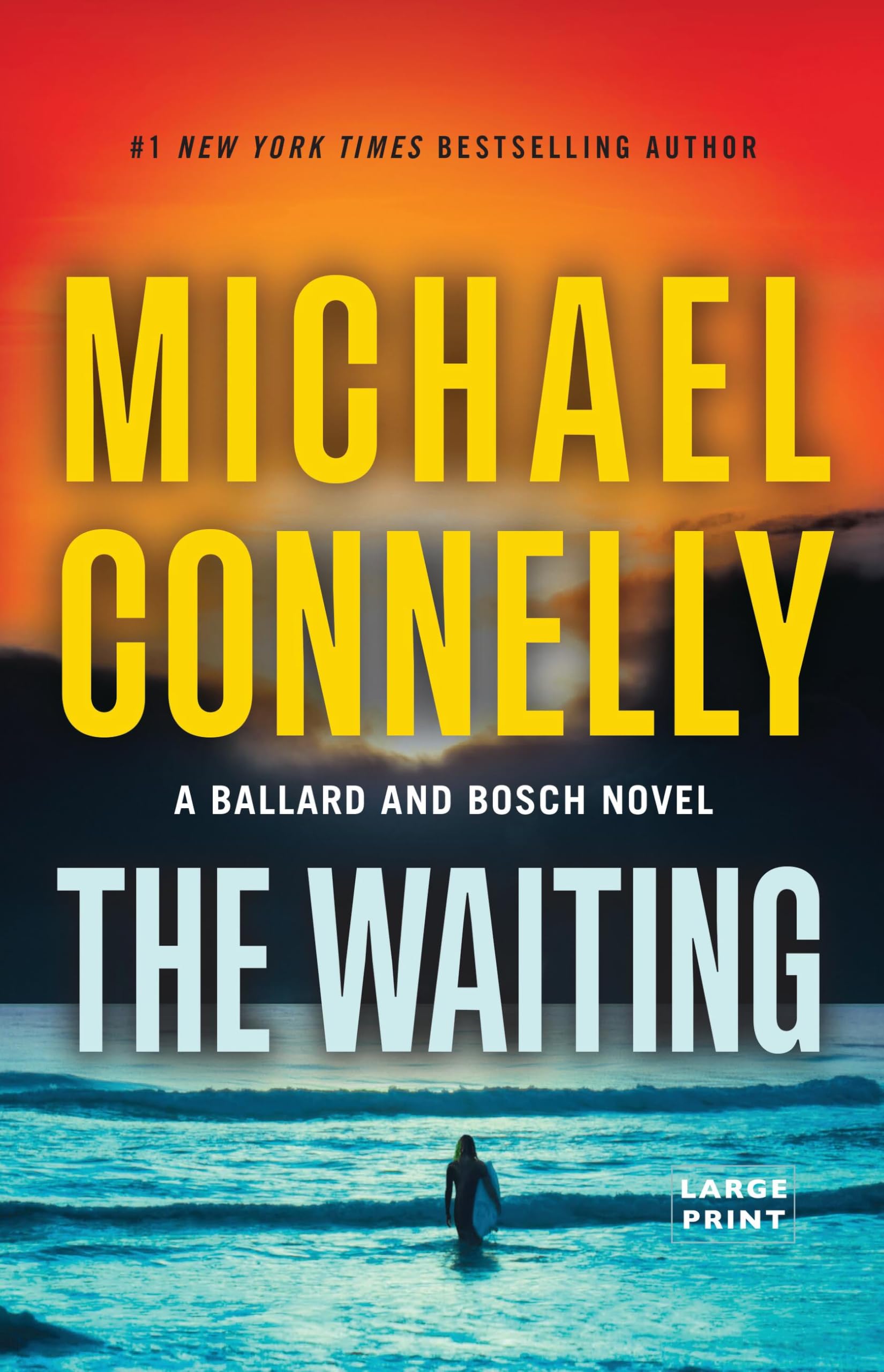 The Waiting Contemporary literature Books