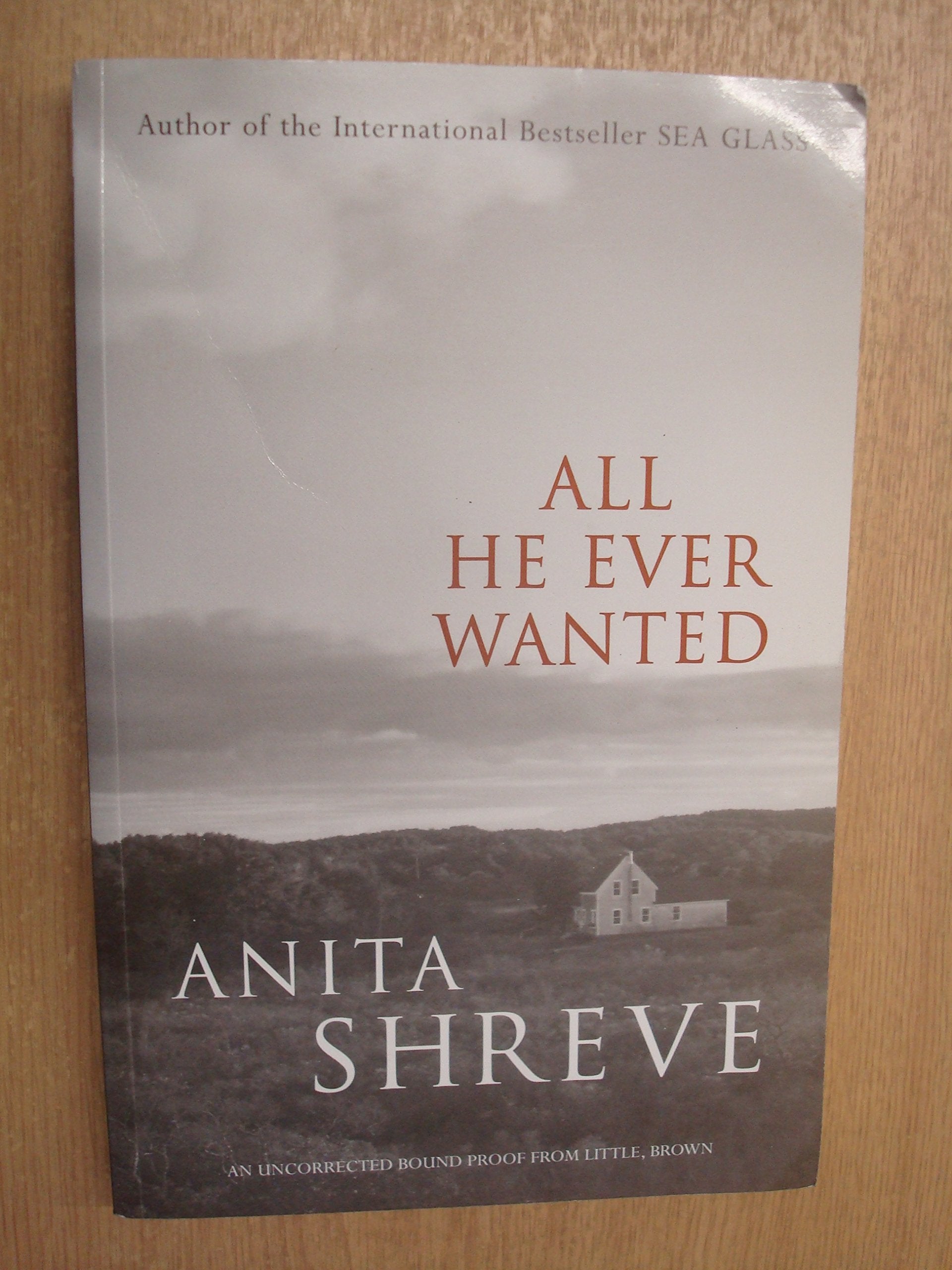 All He Ever Wanted: A Novel Contemporary literature