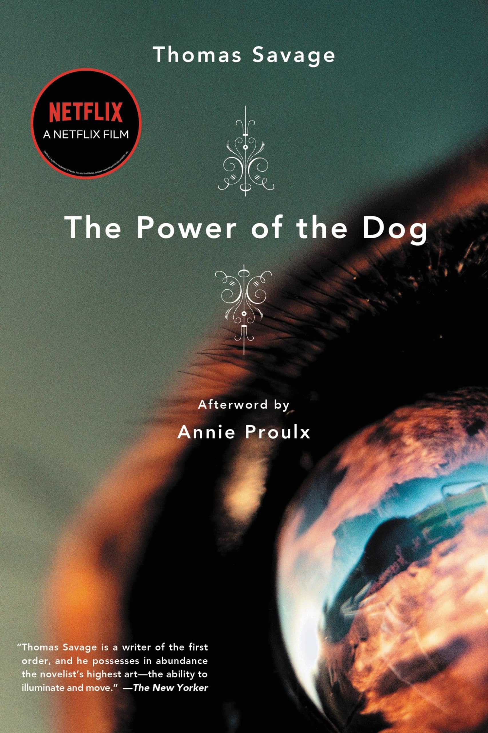 Power of the Dog, The LGBTQ+