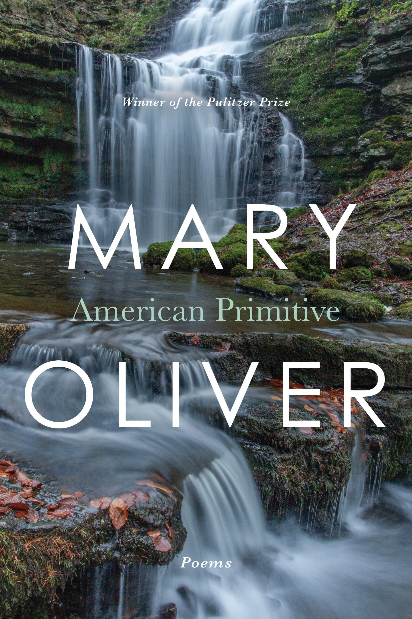 American Primitive Poetry