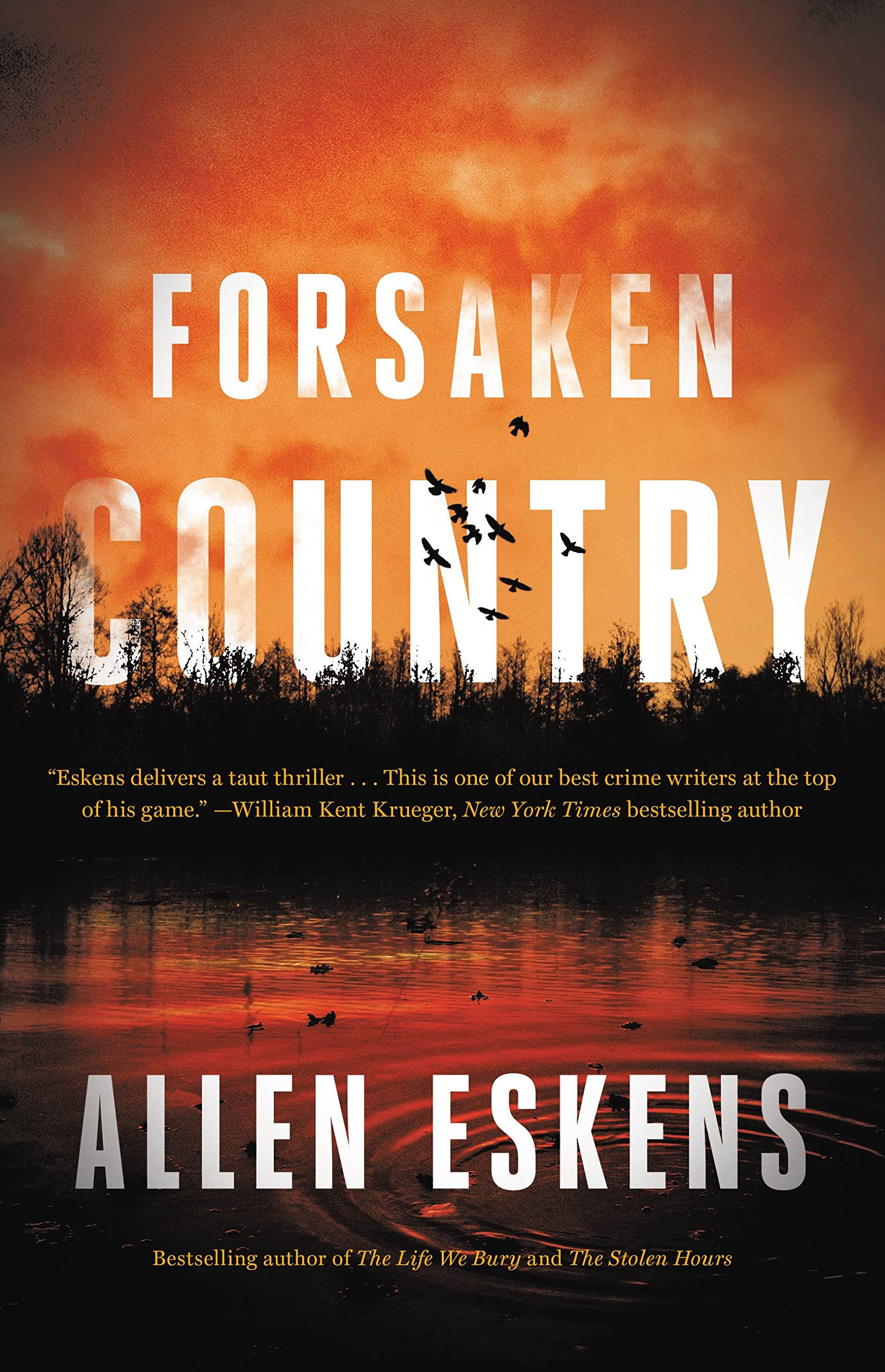 Forsaken Country Contemporary literature