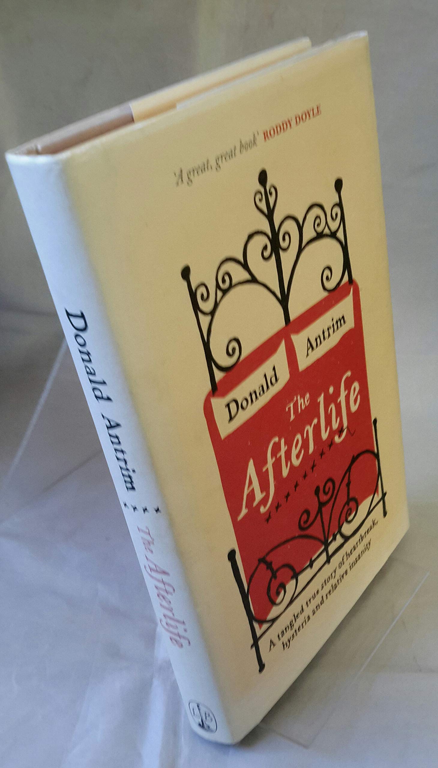 The Afterlife: After Death Memories