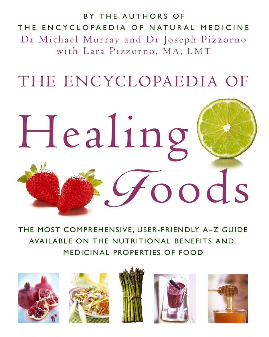 The Encyclopaedia of Healing Foods book