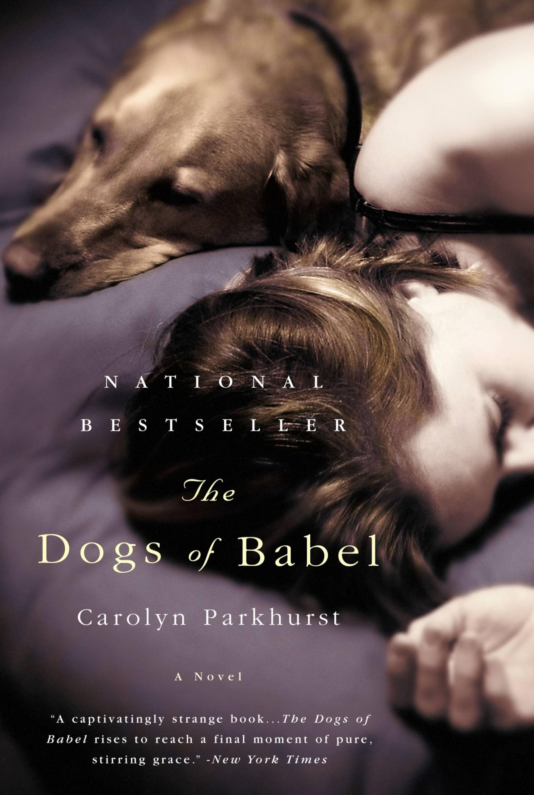 The Dogs of Babel Contemporary literature