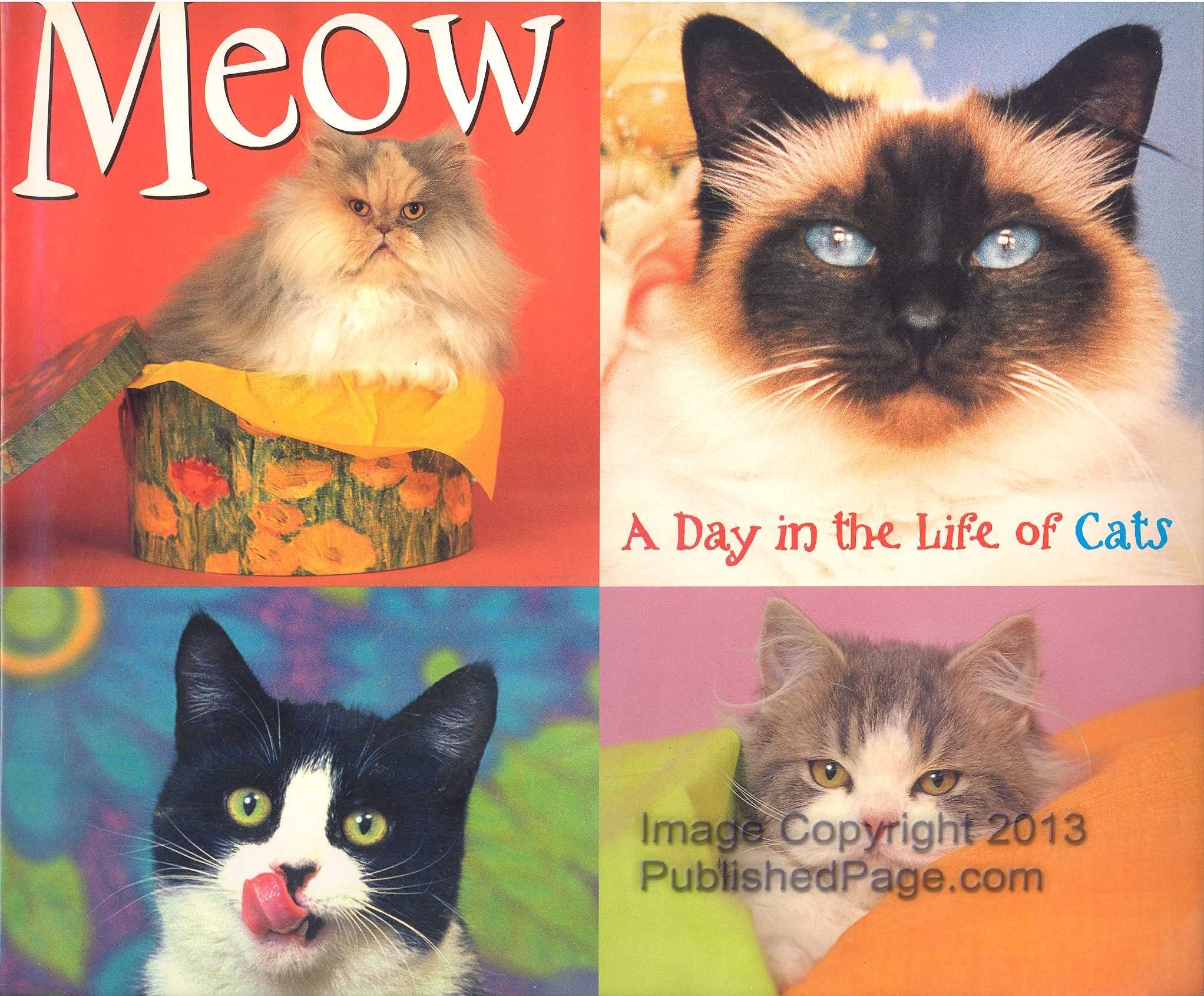 Meow: A Day in the Life With Cats book