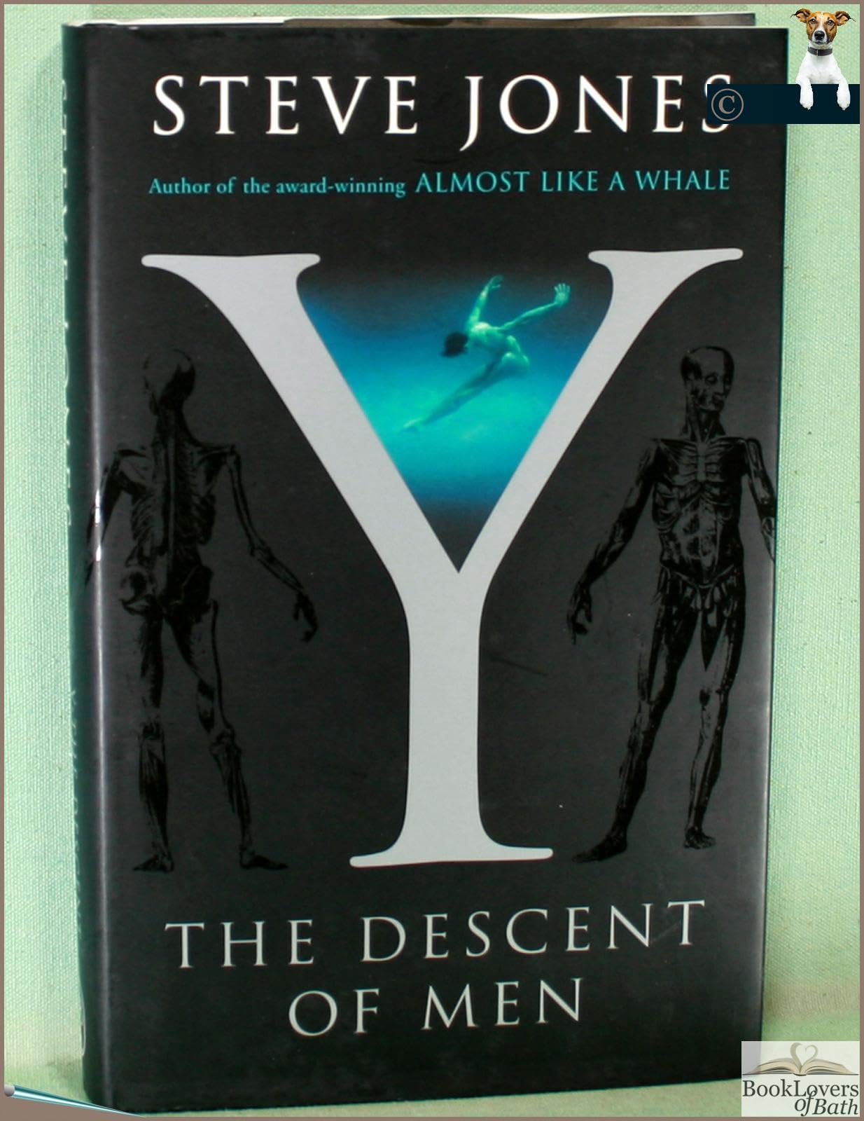 Y: The Descent Of Men Natural Sciences