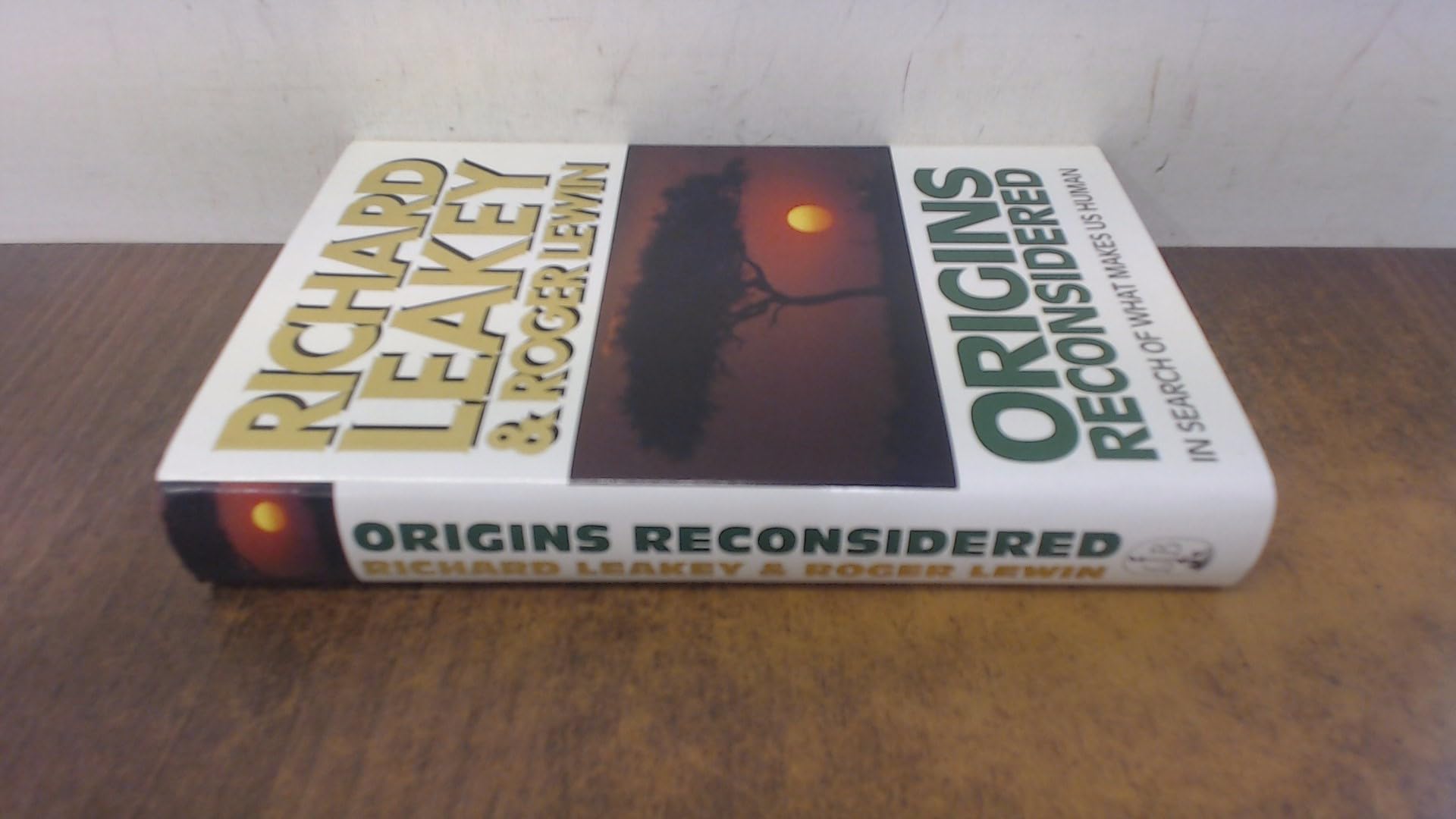 Origins Reconsidered: In Search of What Makes Us Human Social Sciences