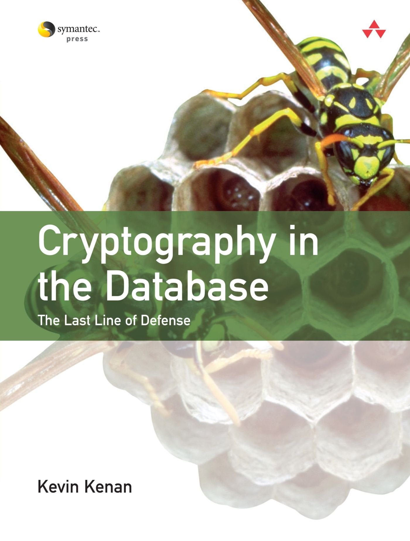 Cryptography in the Database: The Last Line of Defense Computer Science