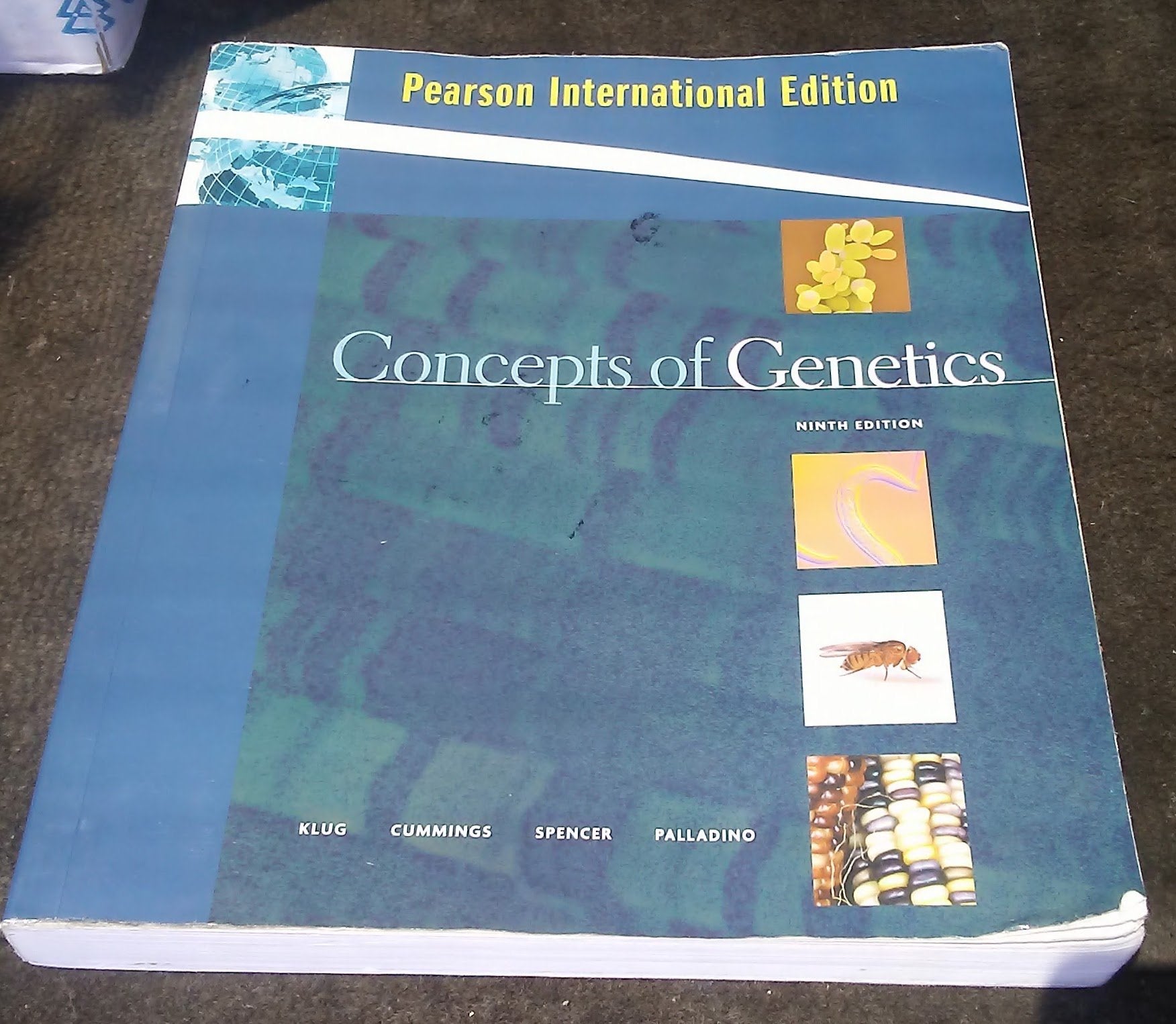 Concepts of Genetics: International Edition book