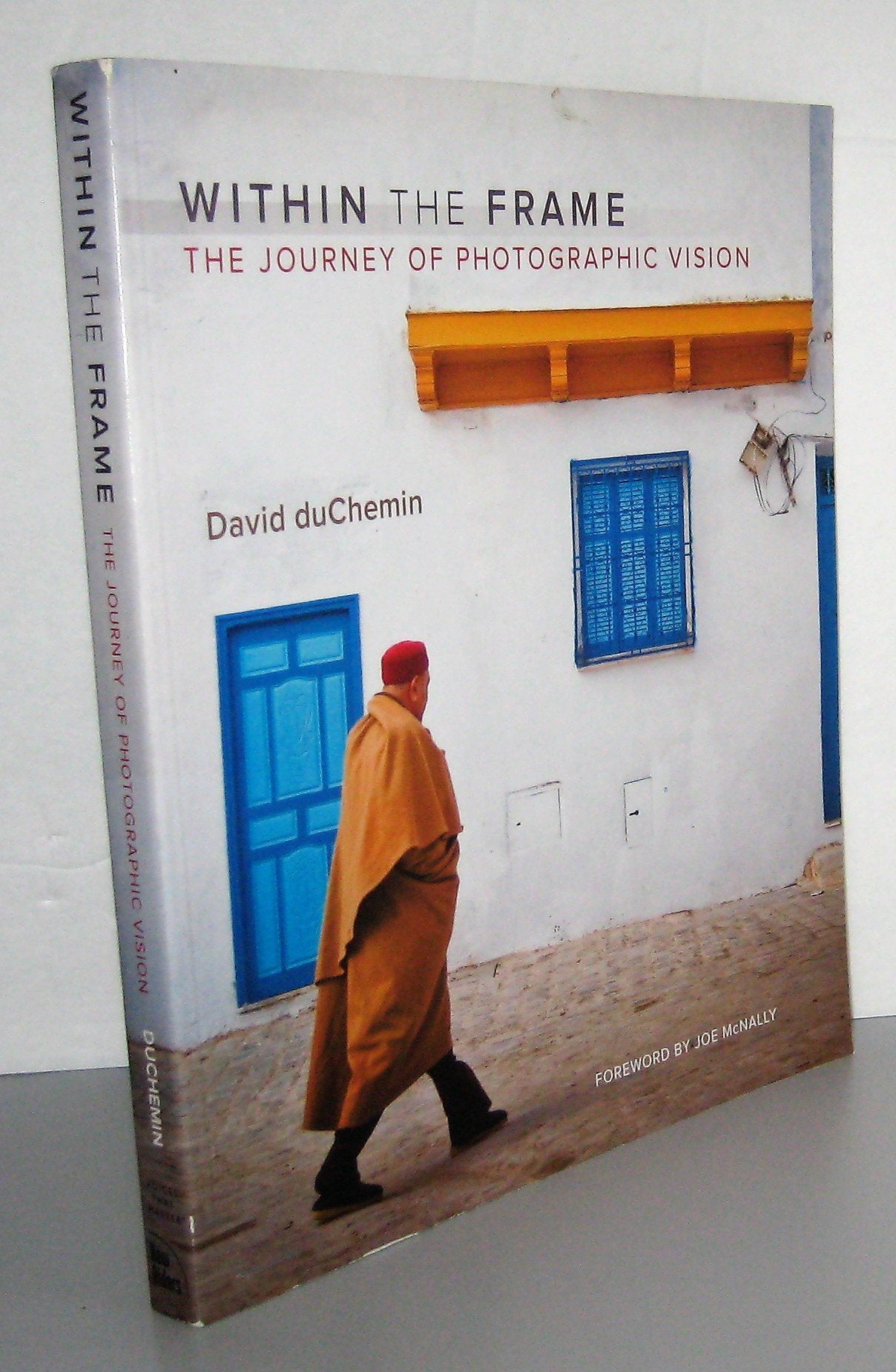 Within the Frame: The Journey of Photographic Vision (Voices That Matter) Photography